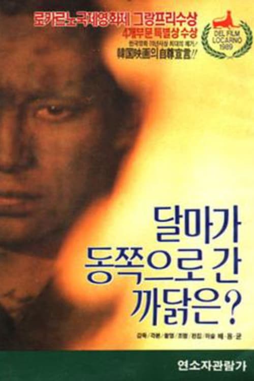 달마가 동쪽으로 간 까닭은? | 달마가 동쪽으로 간 까닭은?