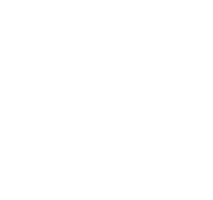 ICS Nordic