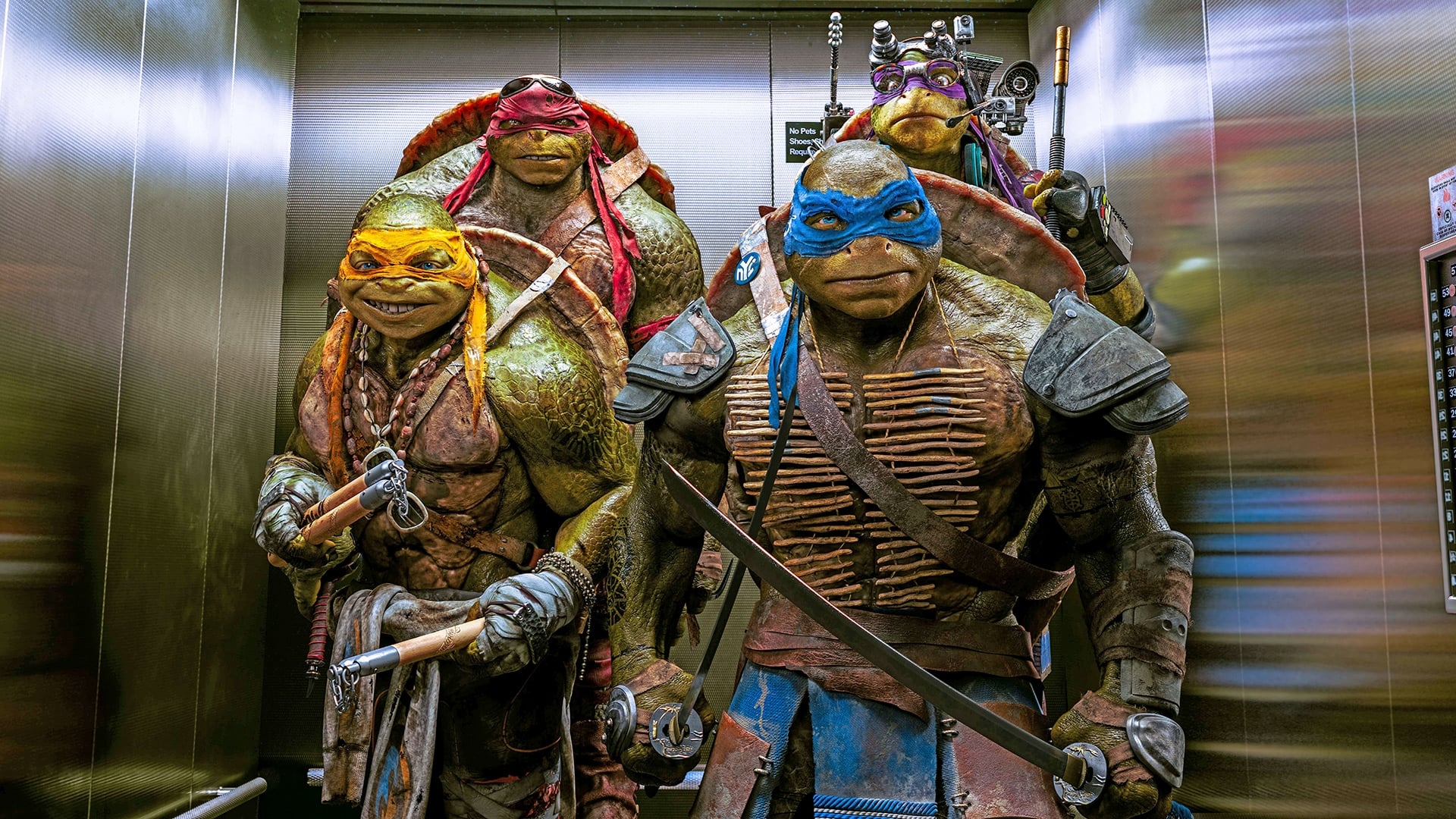 لاکپشت های نینجا|Teenage Mutant Ninja Turtles