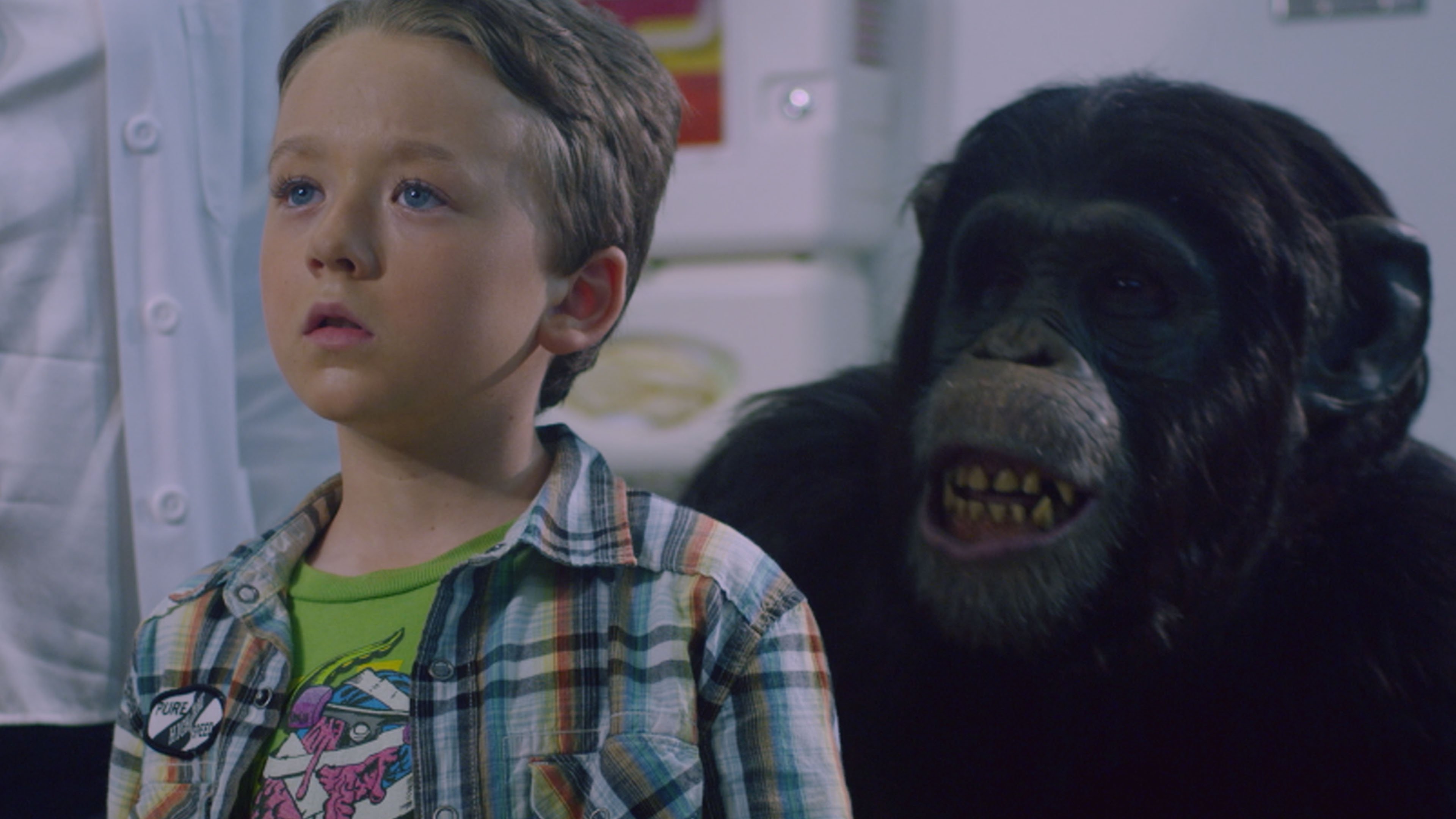 Amazing Ape|Amazing Ape