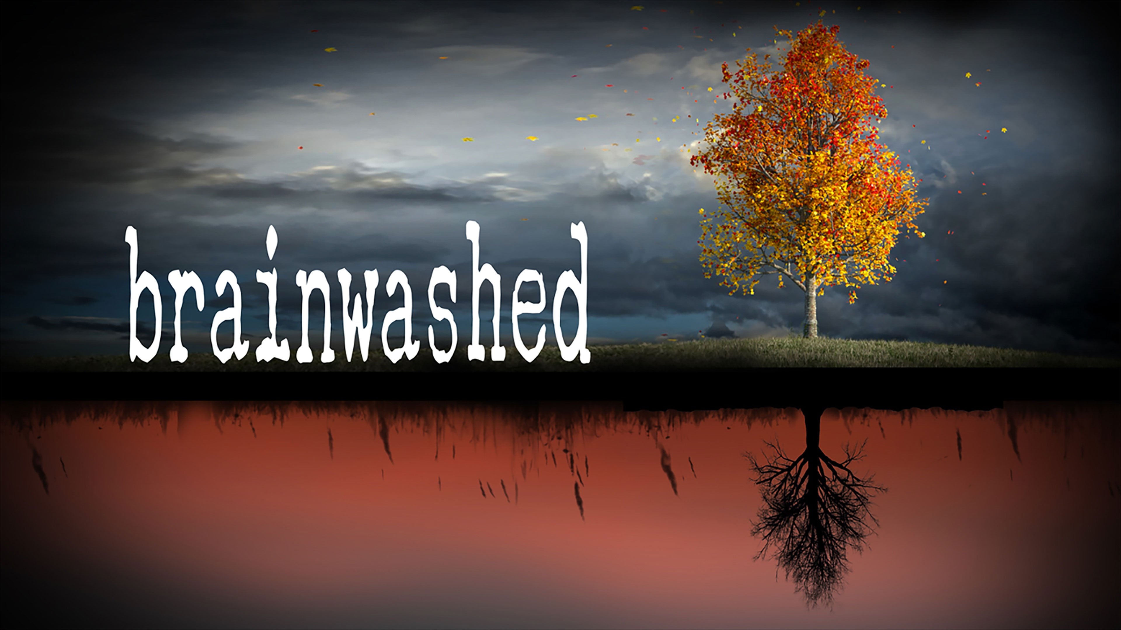 Brainwashed|Brainwashed
