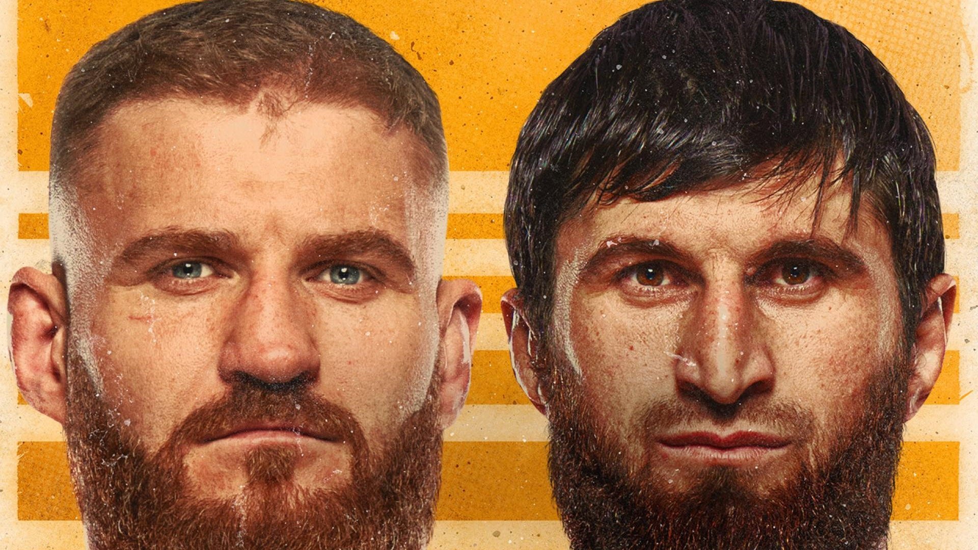 UFC 282: Blachowicz vs. Ankalaev|UFC 282: Blachowicz vs. Ankalaev