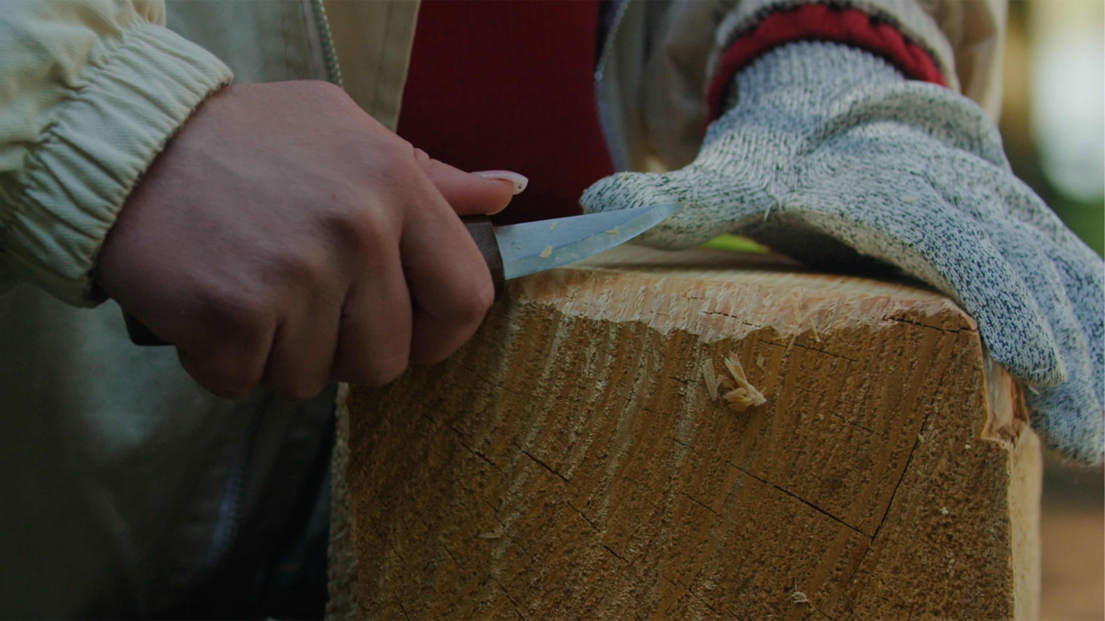 Carved|Carved
