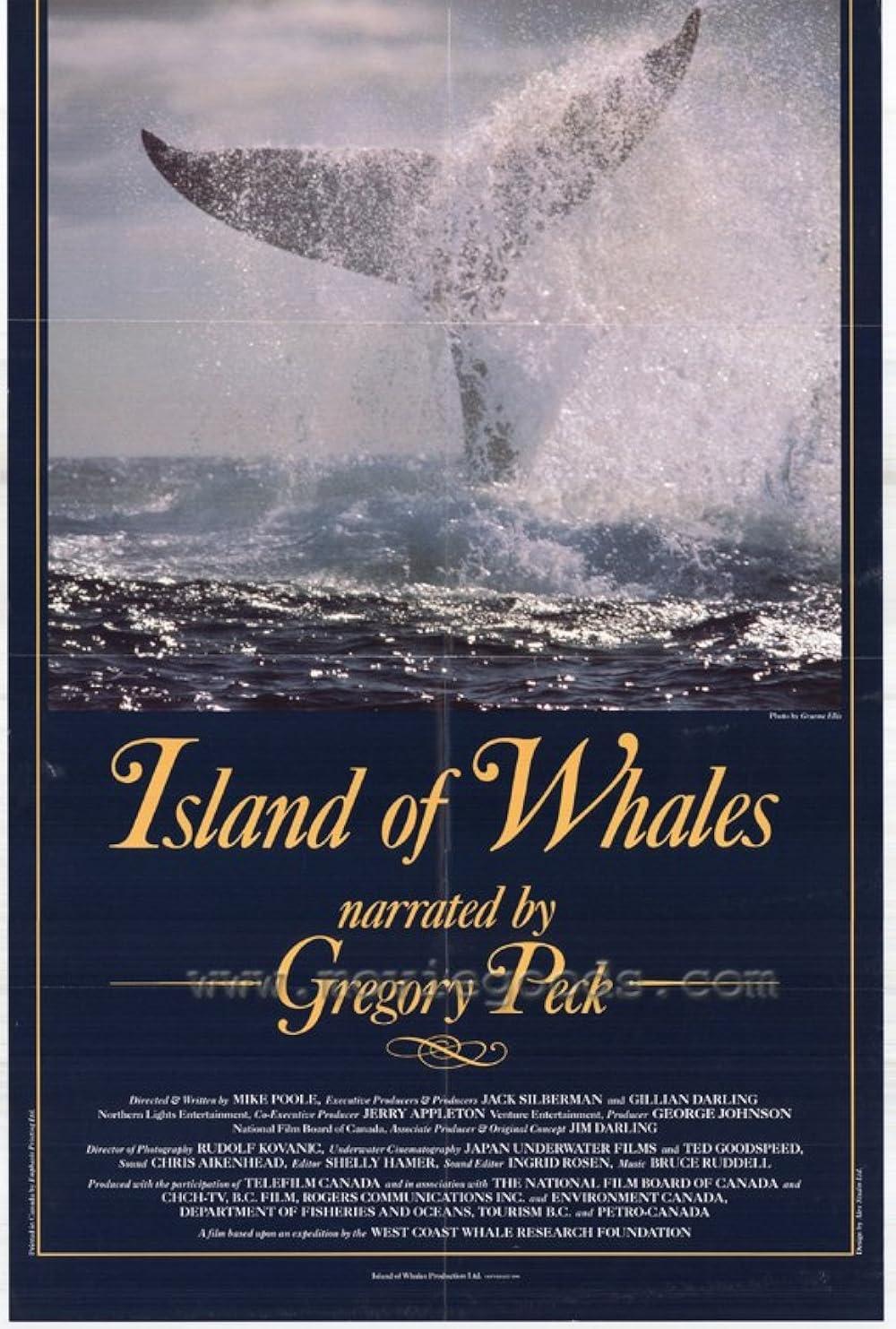 Island of Whales | Island of Whales