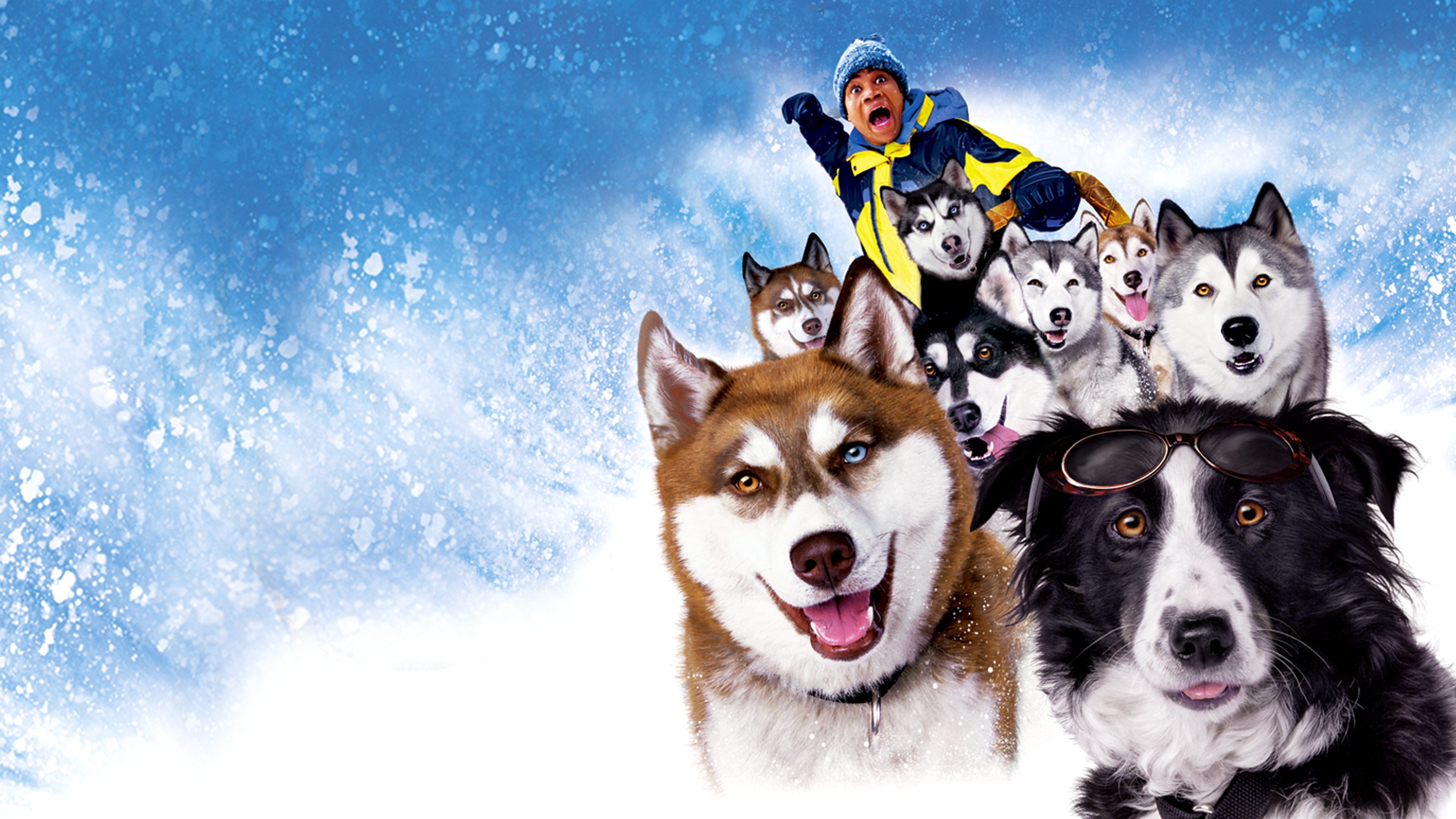 Snow Dogs|Snow Dogs