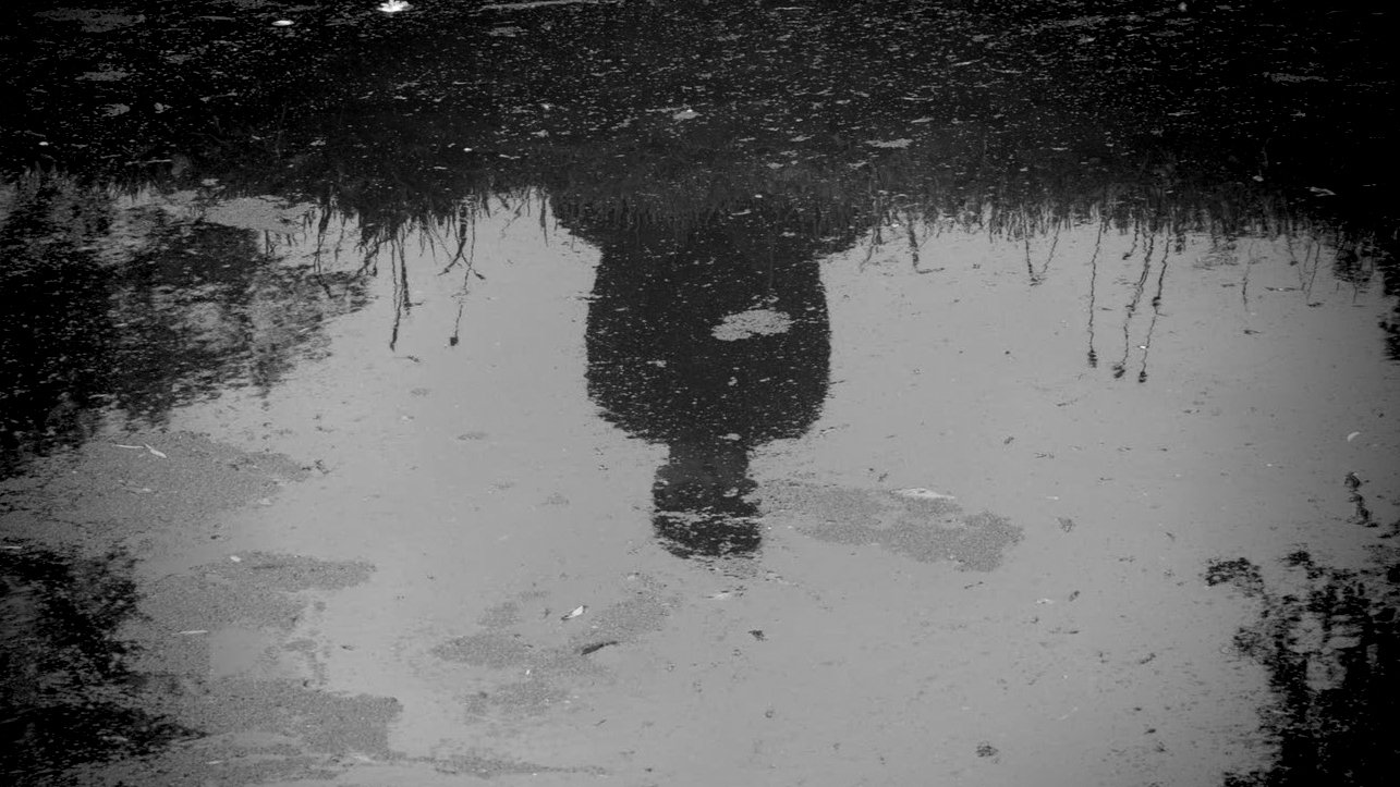 Narcissus|Narcissus