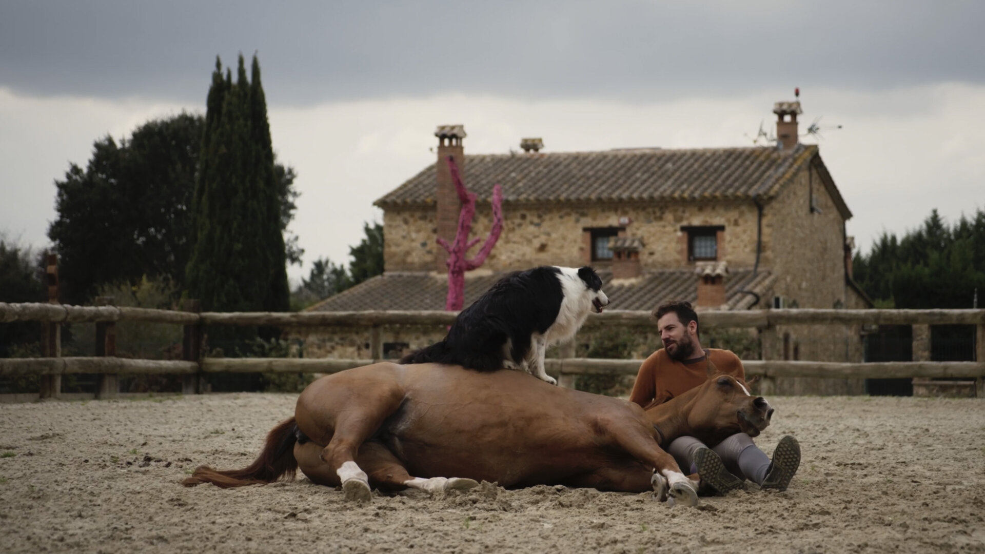 Hermano caballo|Hermano caballo