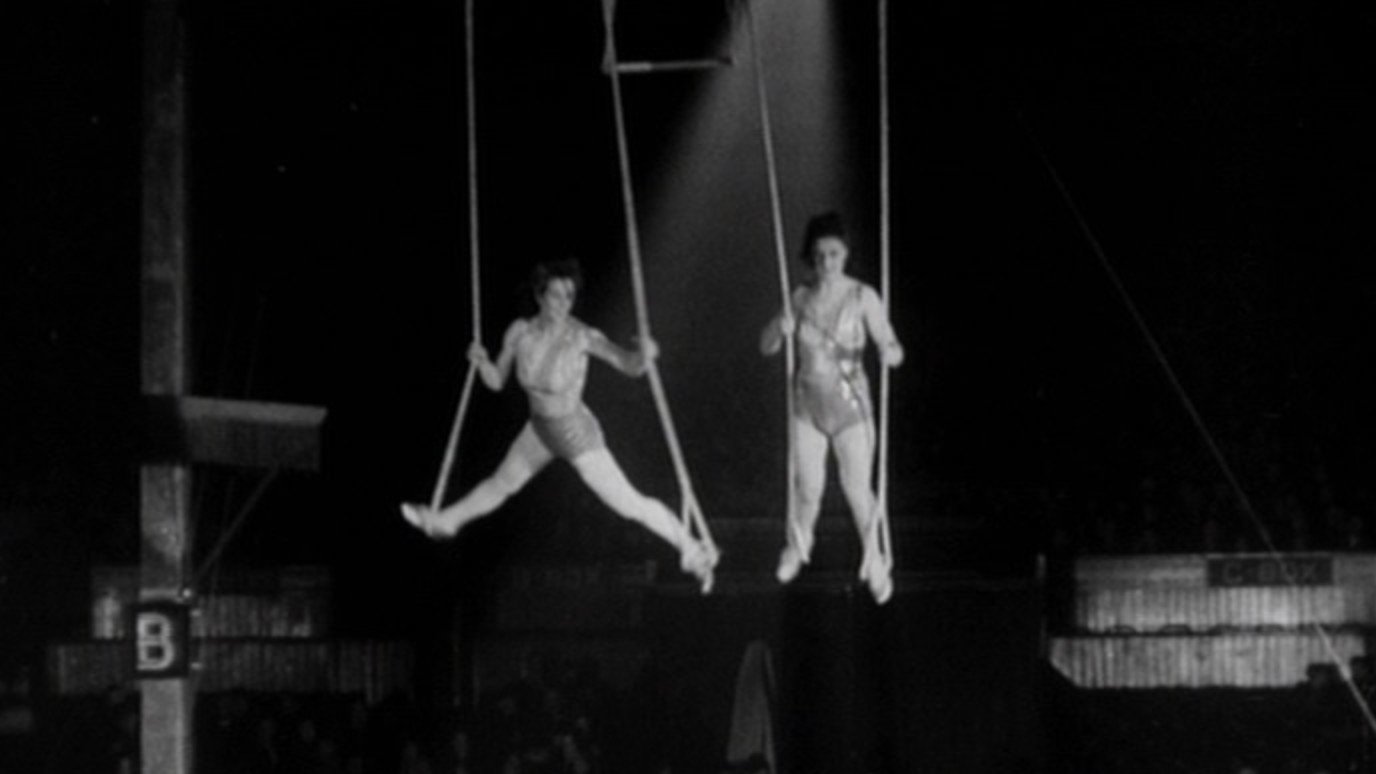 A Circus Story|A Circus Story