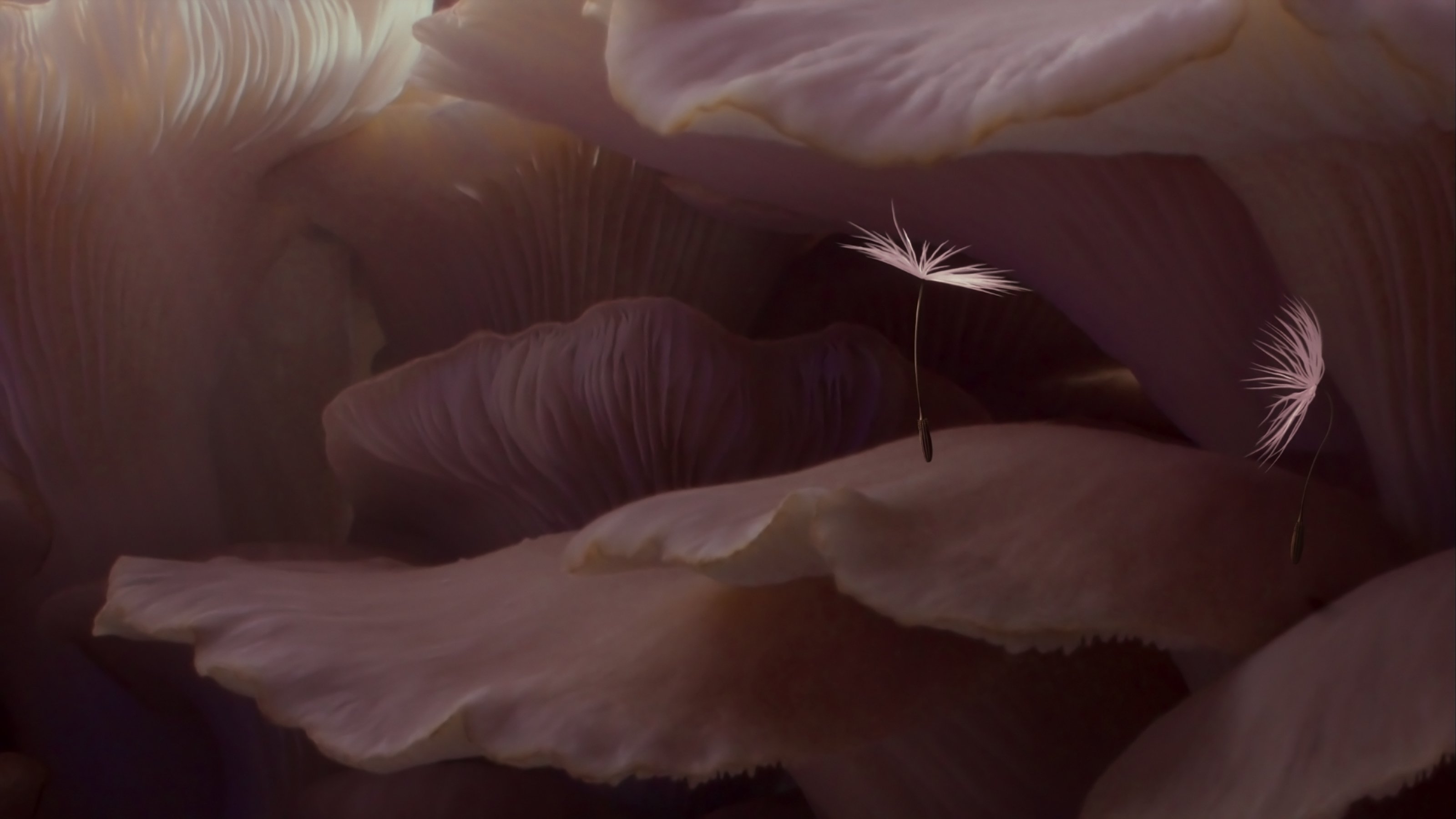 Planètes|Planètes