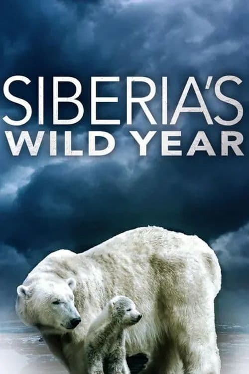 Siberia's Wild Year | Siberia's Wild Year