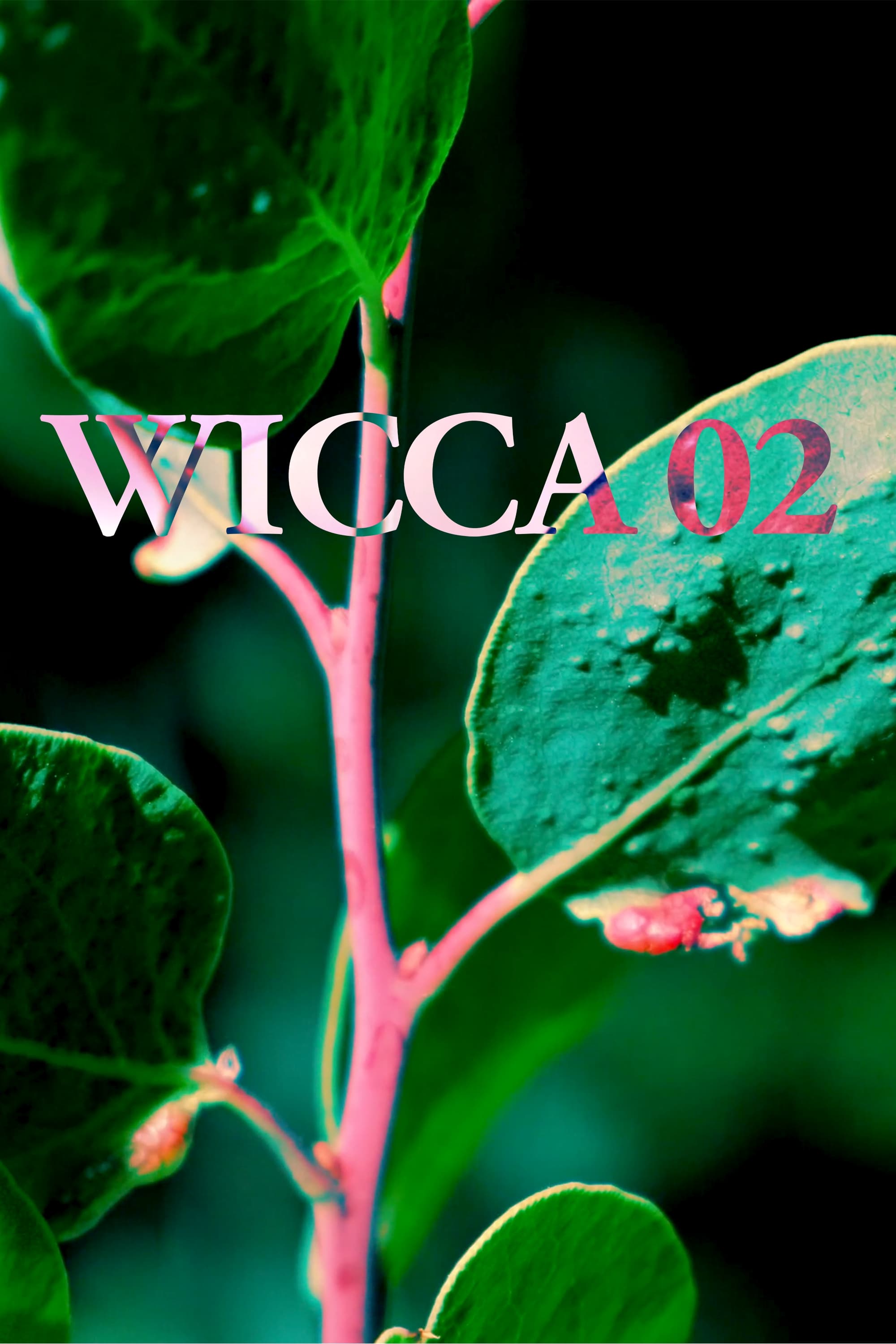 WICCA_02 | WICCA_02