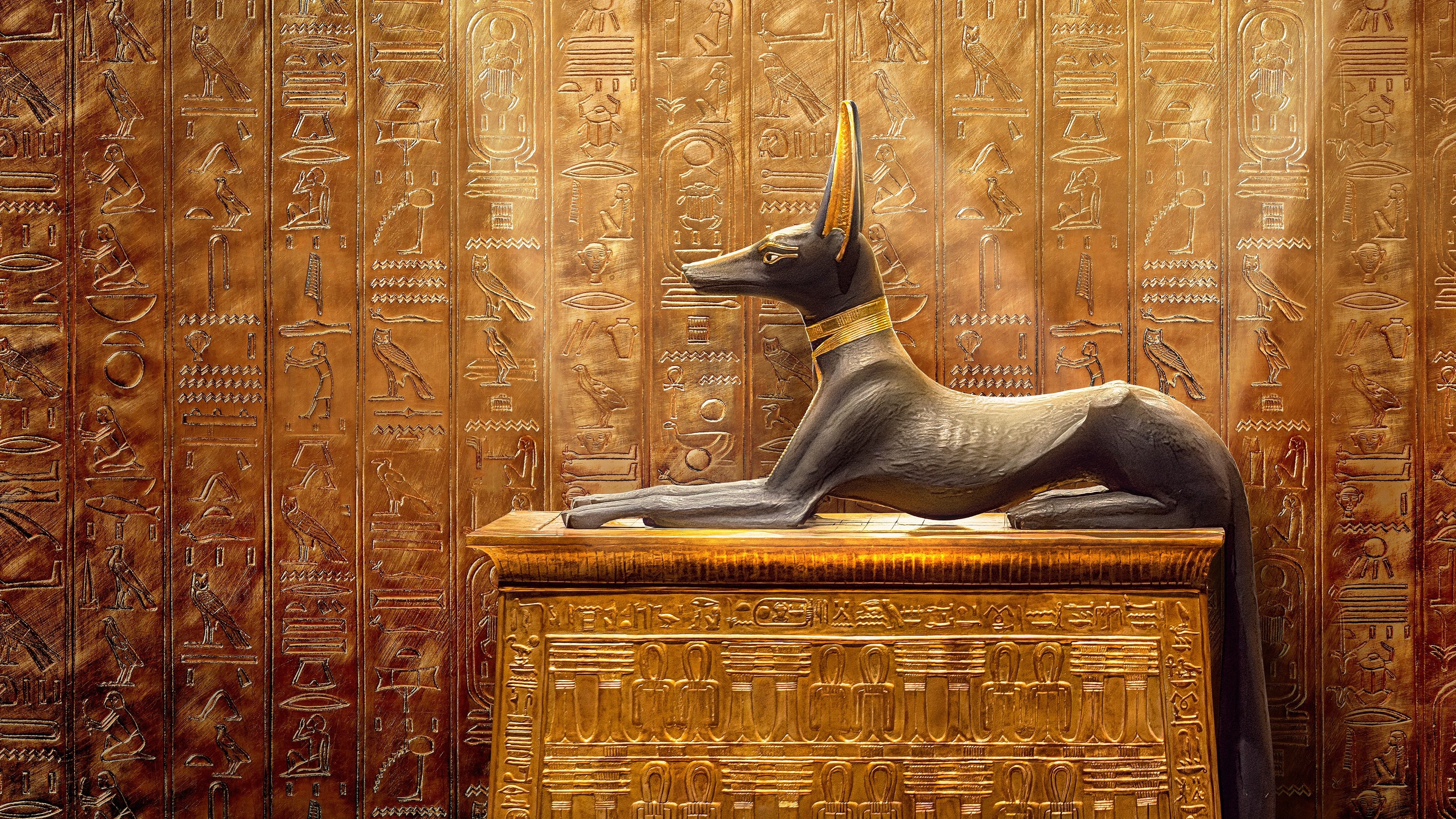 King Tut: A Century of Secrets|King Tut: A Century of Secrets