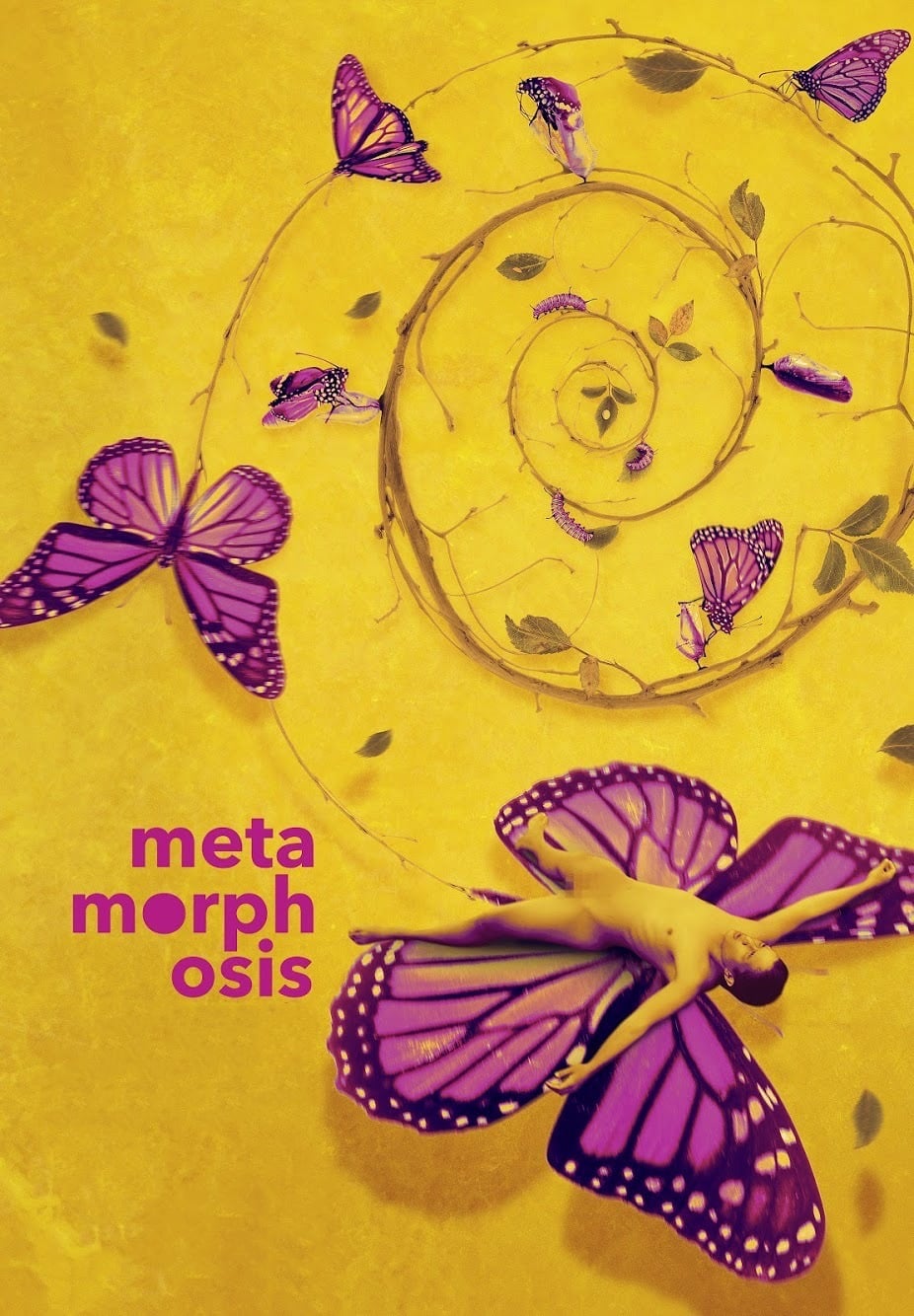 Metamorphosis | Metamorphosis