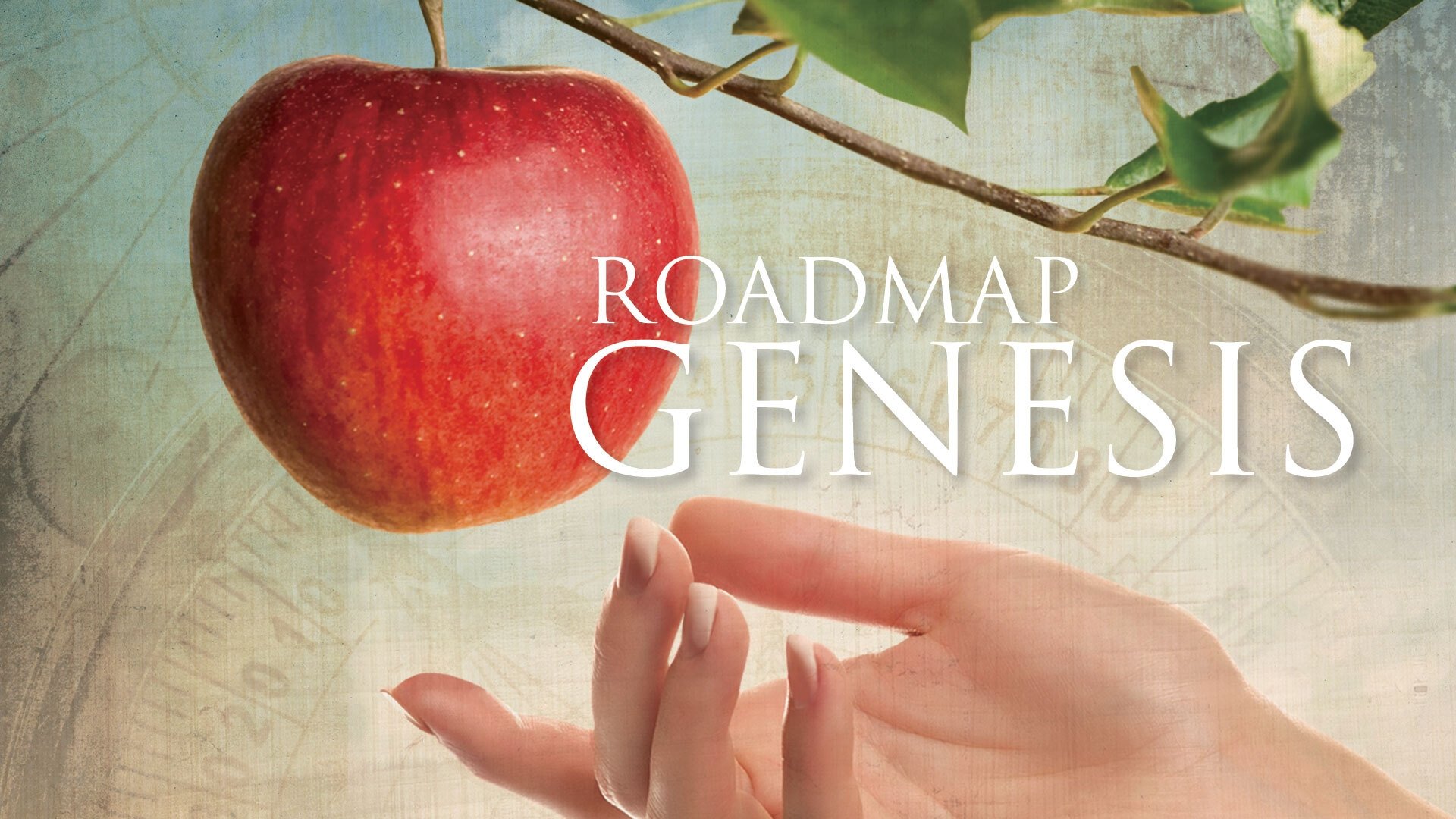 Roadmap Genesis|Roadmap Genesis