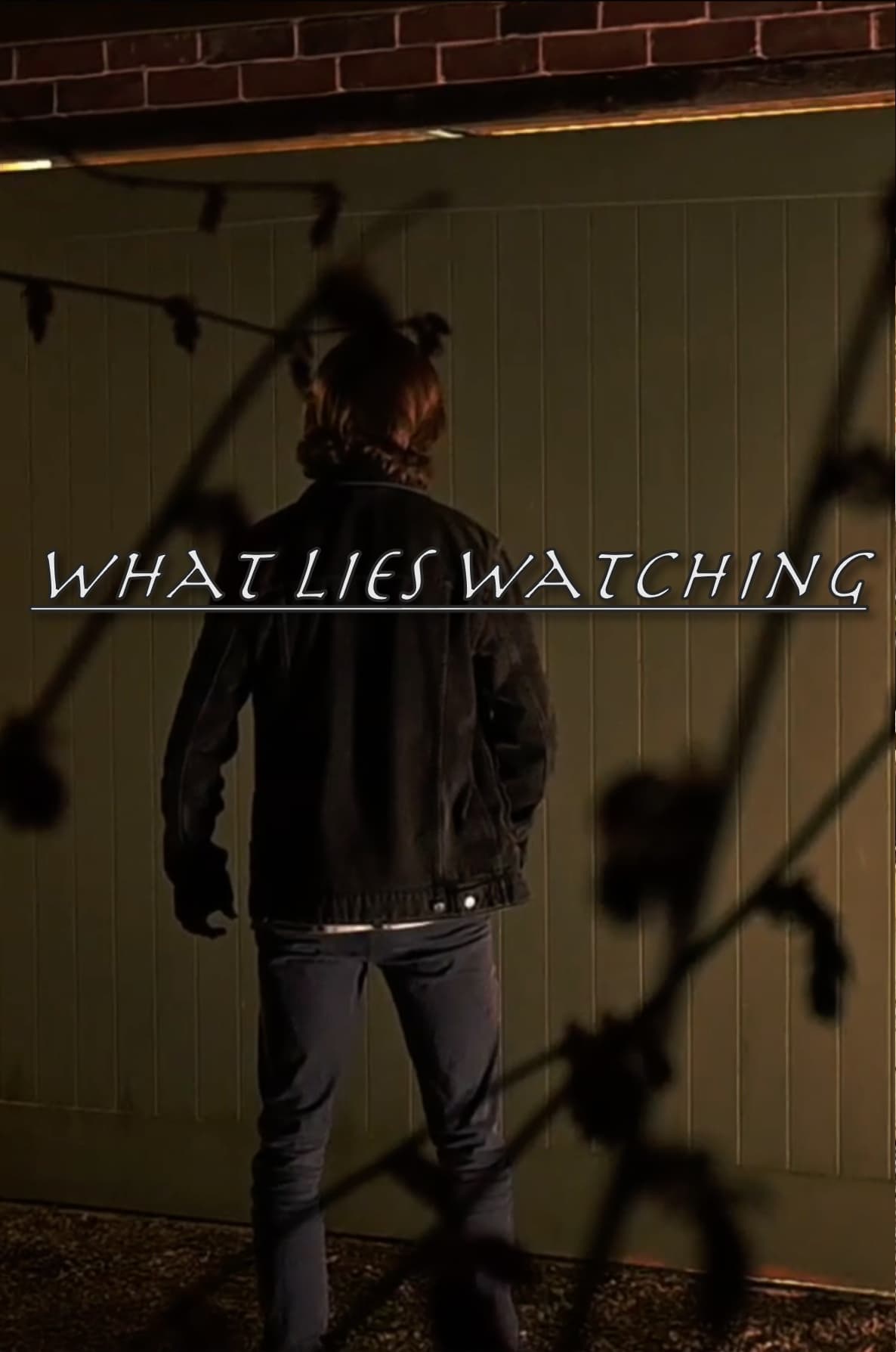 What Lies Watching | What Lies Watching