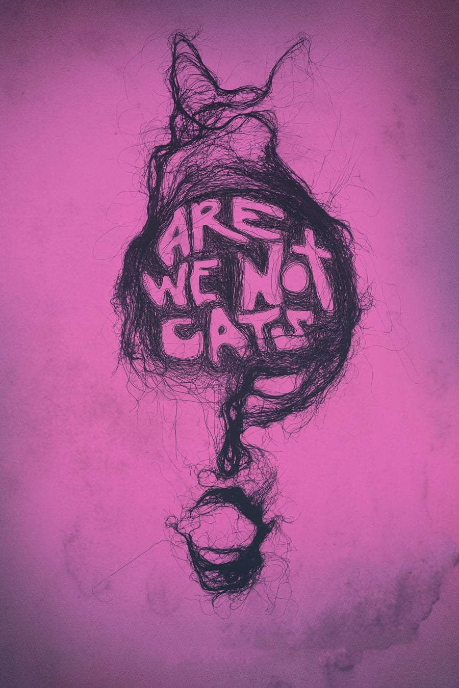 Are We Not Cats | Are We Not Cats