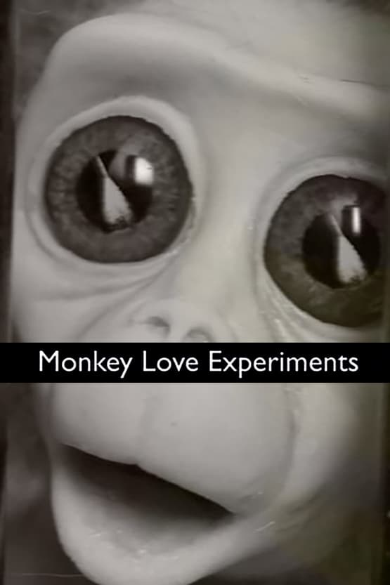 Monkey Love Experiments | Monkey Love Experiments