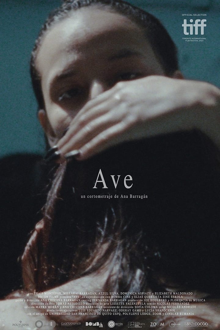 Ave | Ave