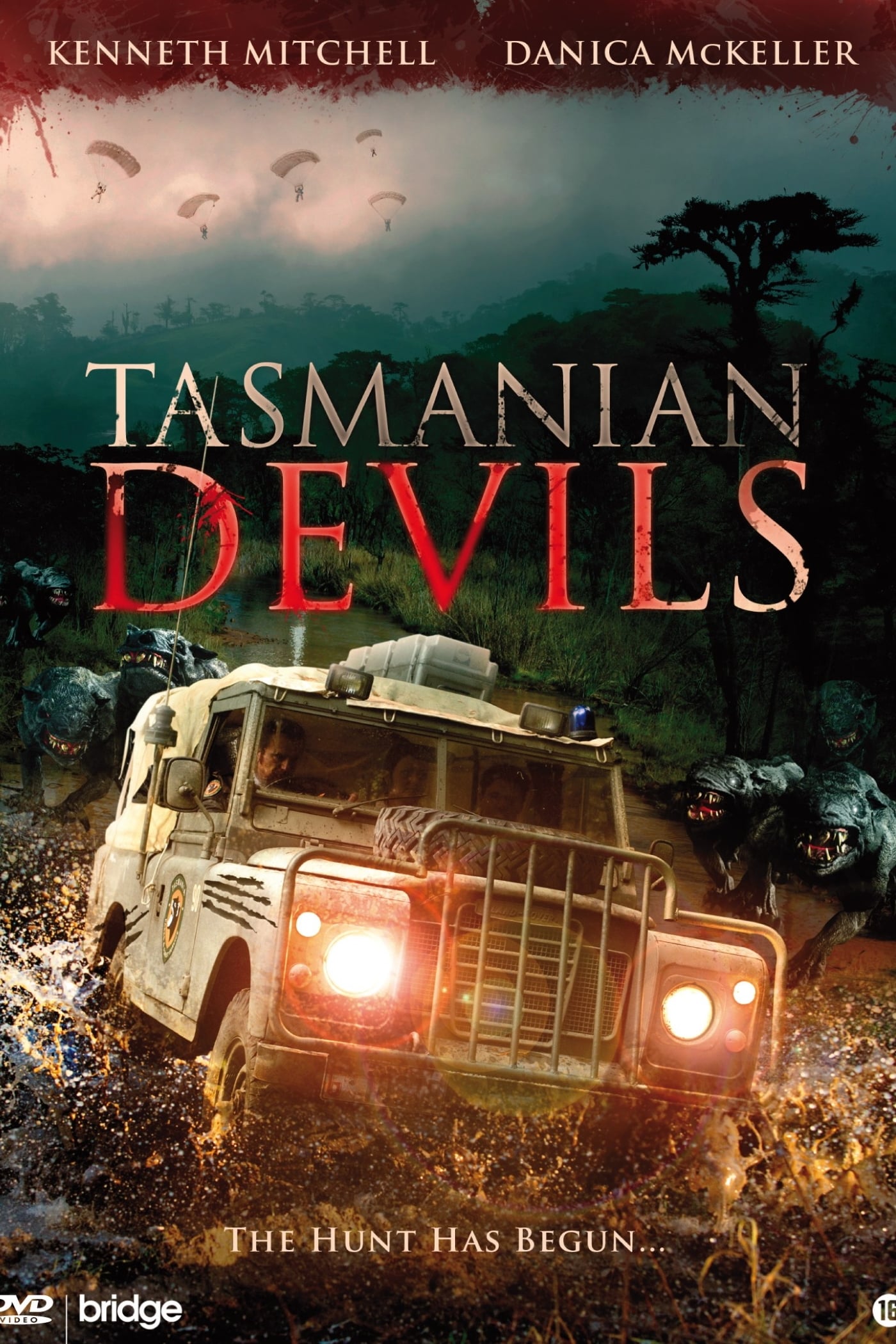 Tasmanian Devils | Tasmanian Devils