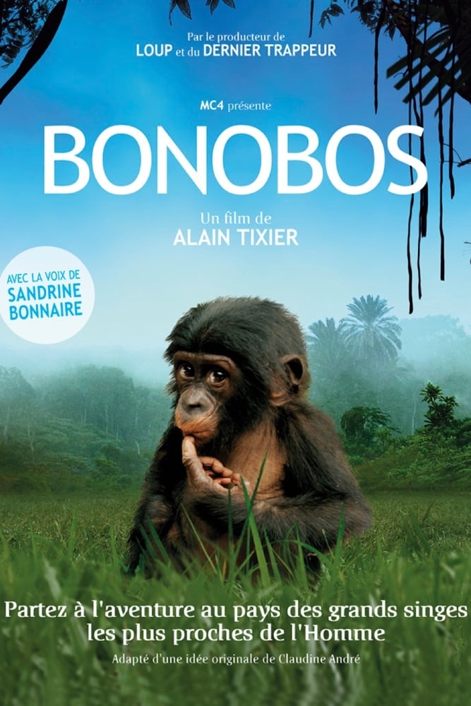 Bonobos | Bonobos