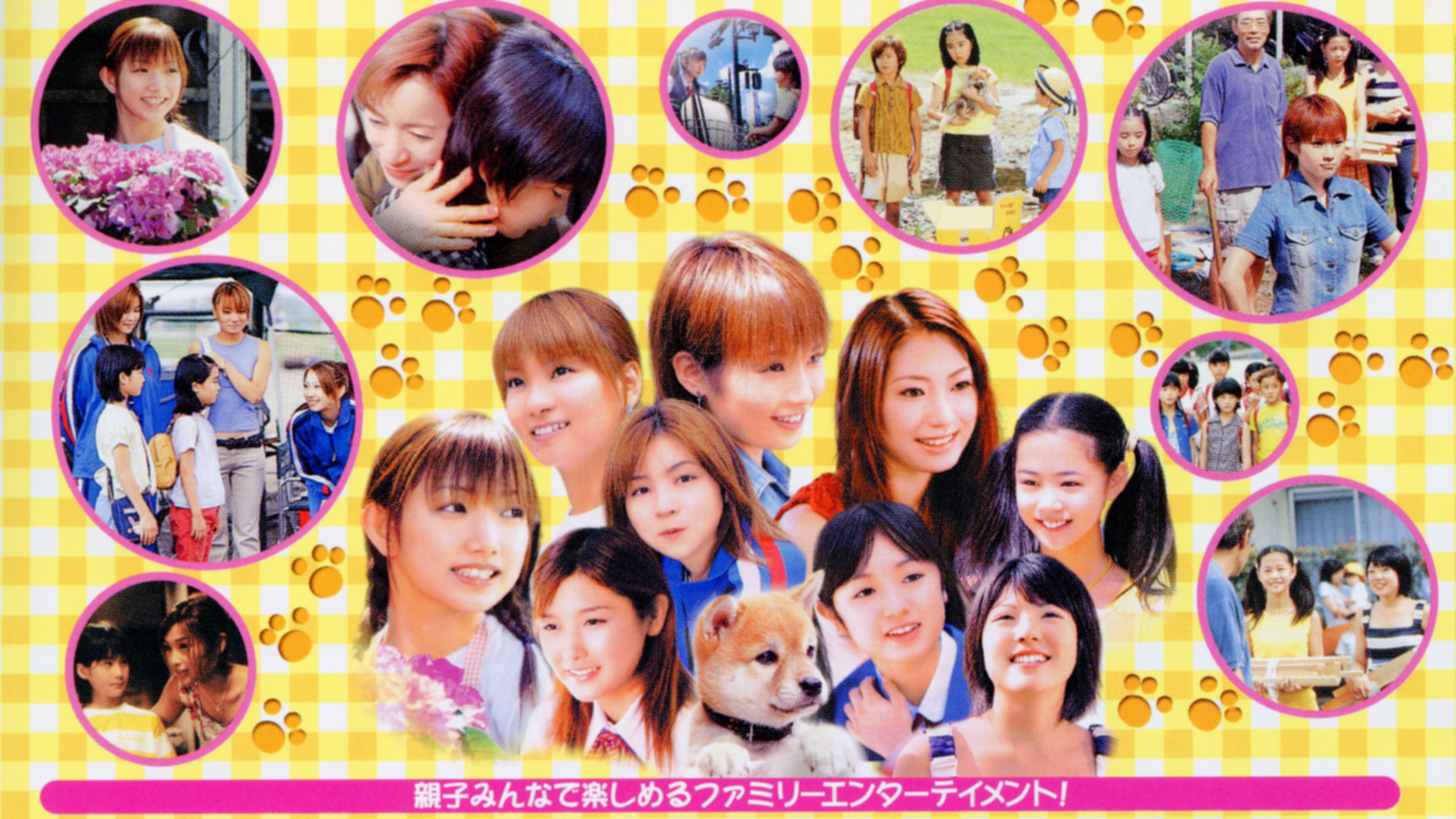 仔犬ダンの物語|仔犬ダンの物語