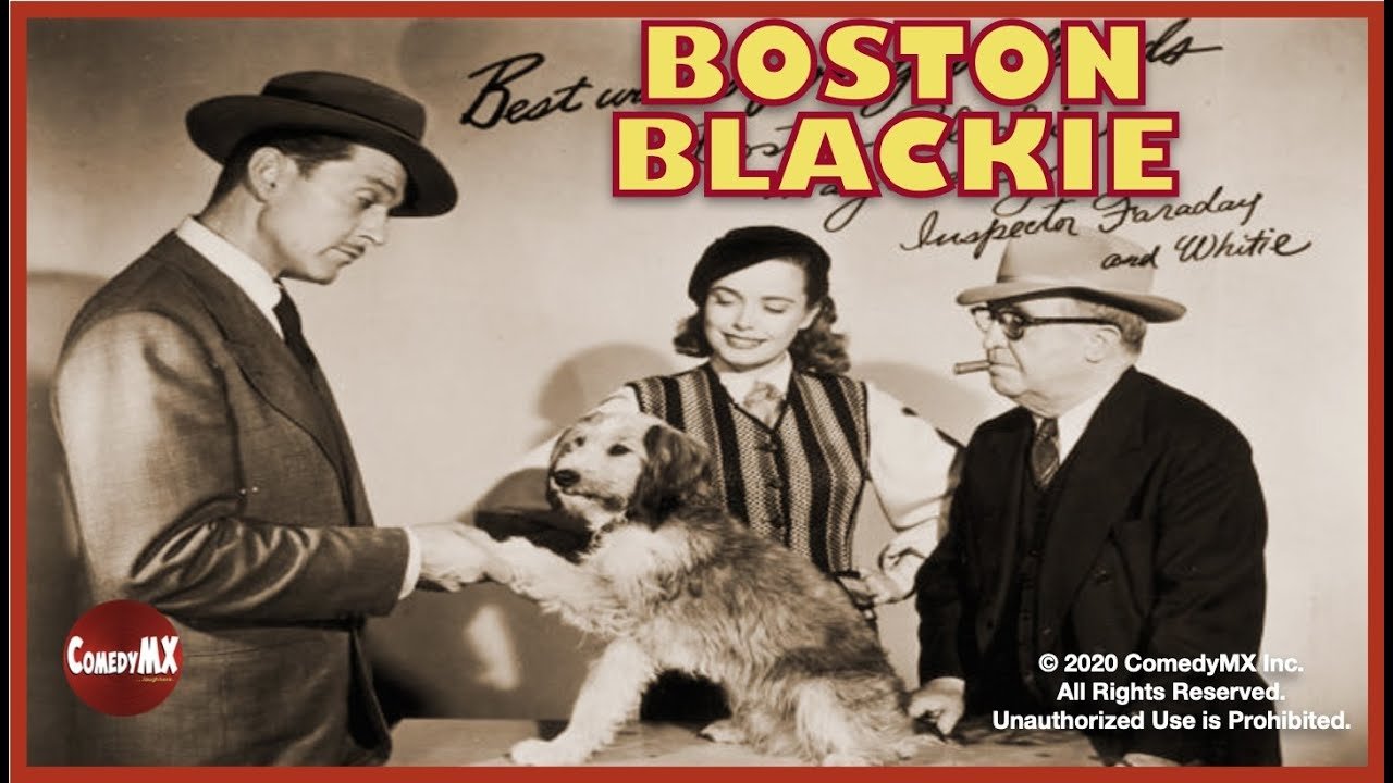 The Adventures of Boston Blackie|The Adventures of Boston Blackie