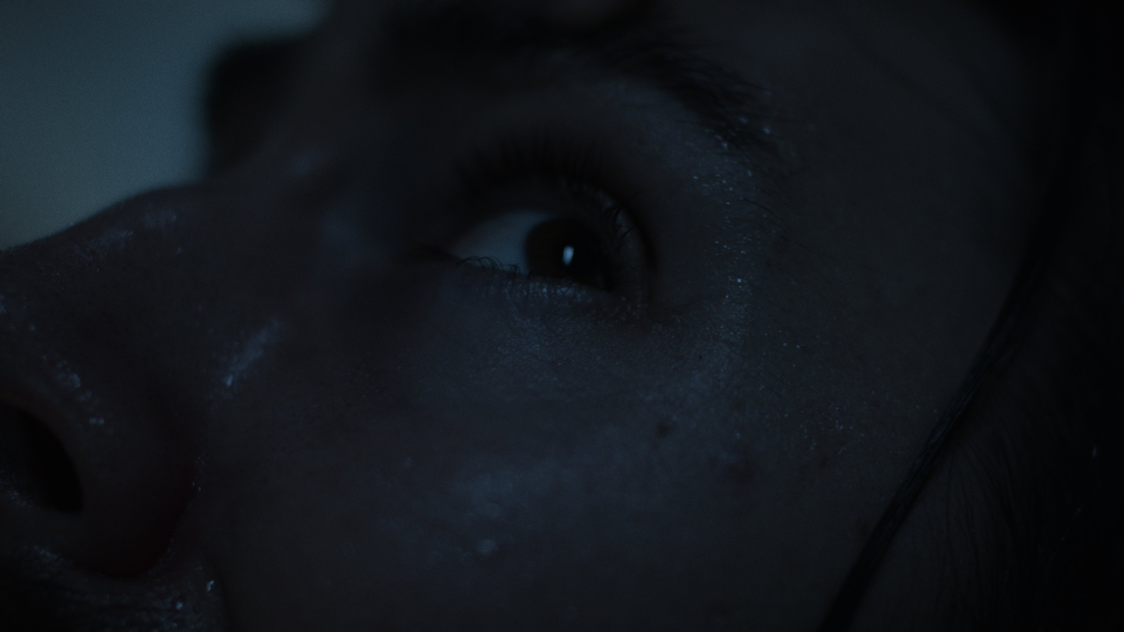 The Dysphoria|The Dysphoria