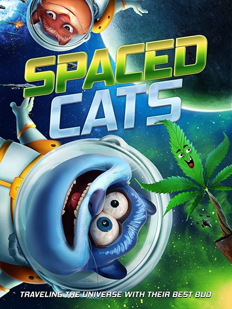 Spaced Cats | Spaced Cats