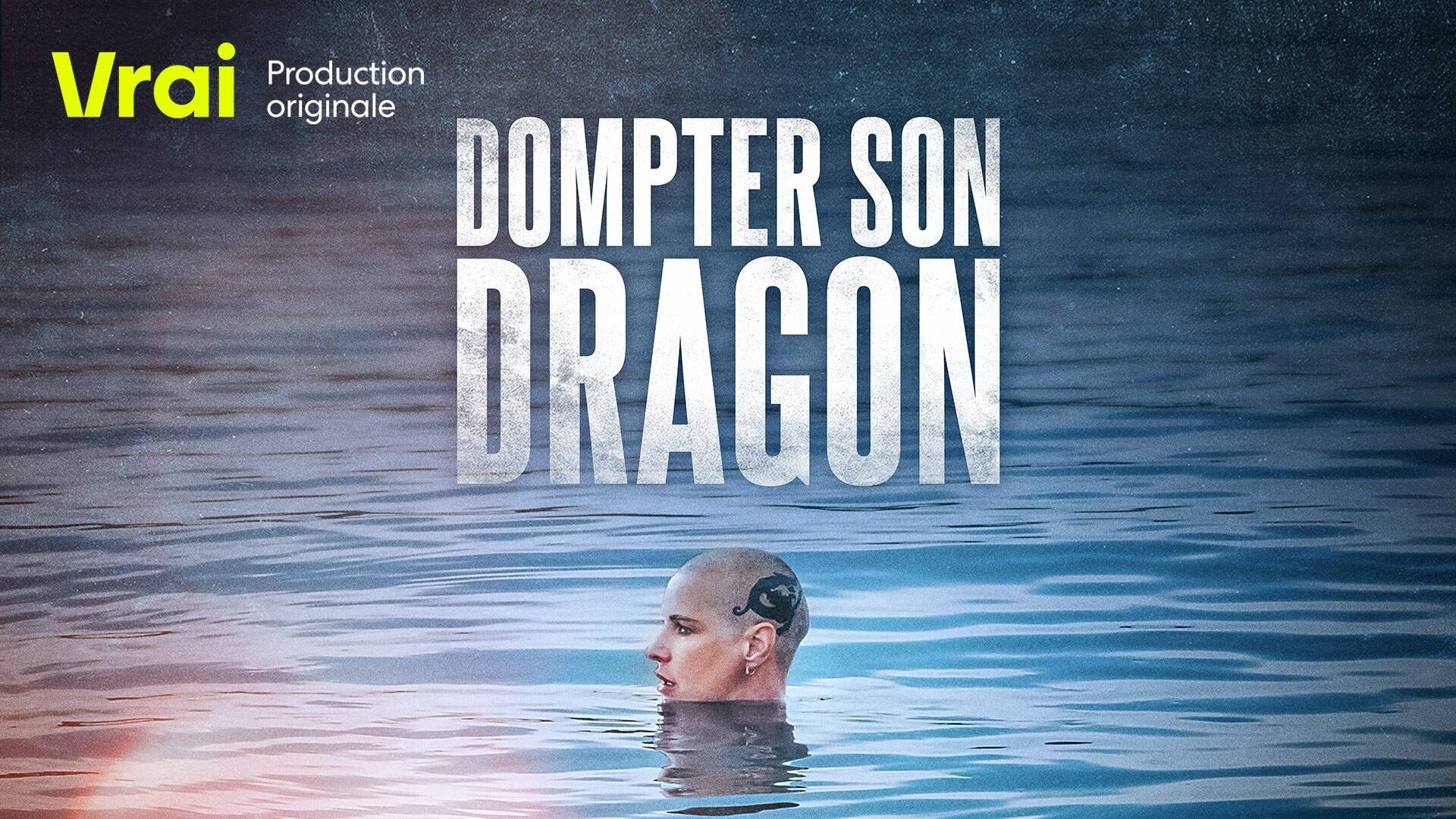 Dompter son dragon|Dompter son dragon