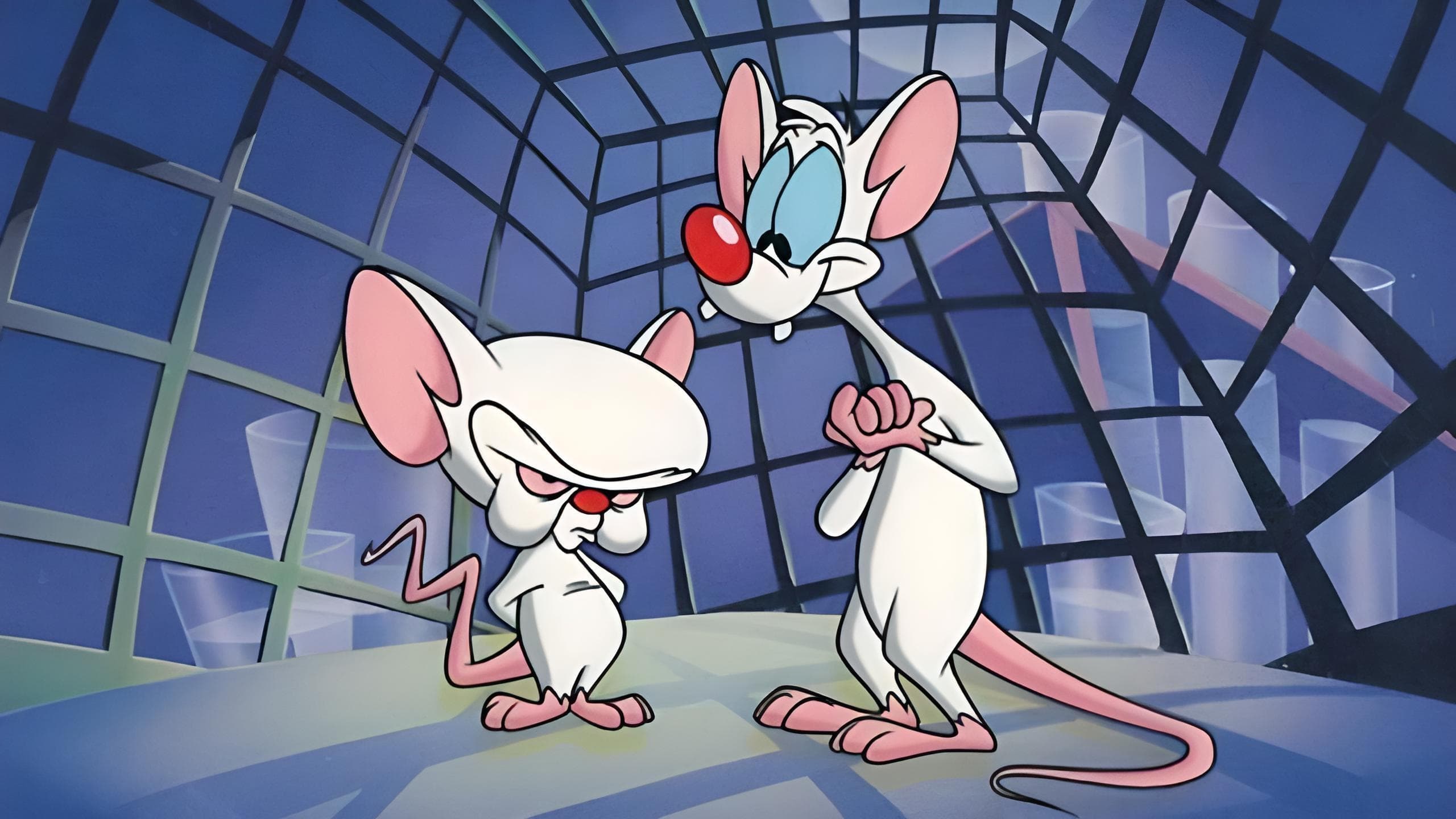 Pinky and the Brain|Pinky and the Brain