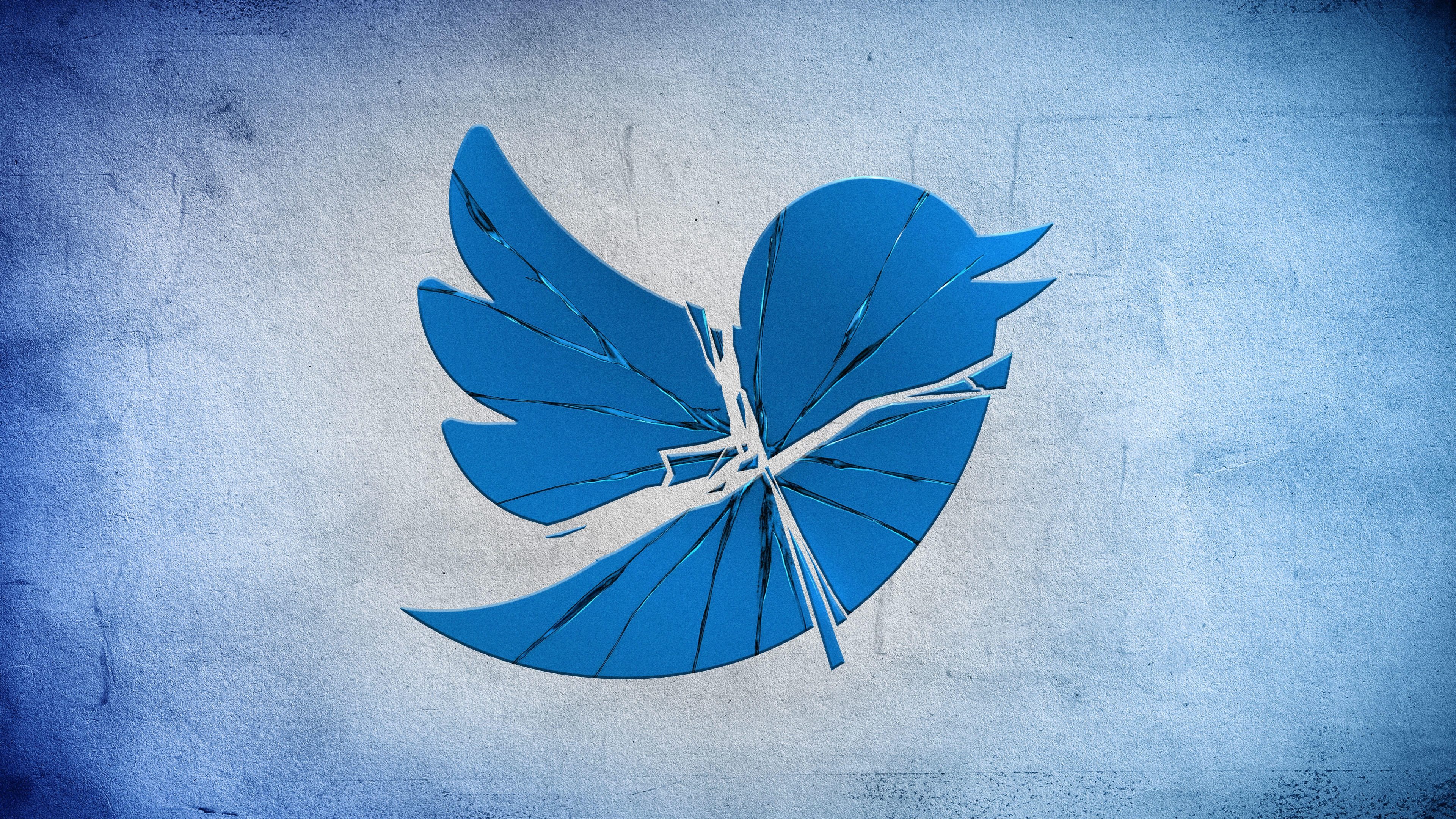 Twitter: Breaking the Bird|Twitter: Breaking the Bird