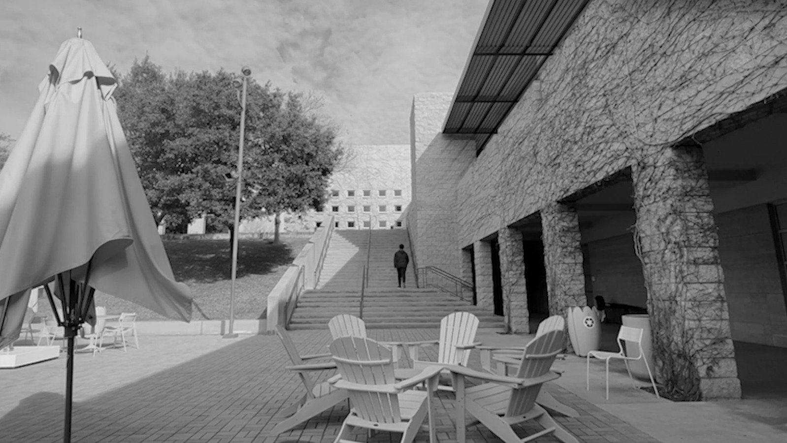 Schoolhood, The Past References of an Unforeseeable Future|Schoolhood, The Past References of an Unforeseeable Future