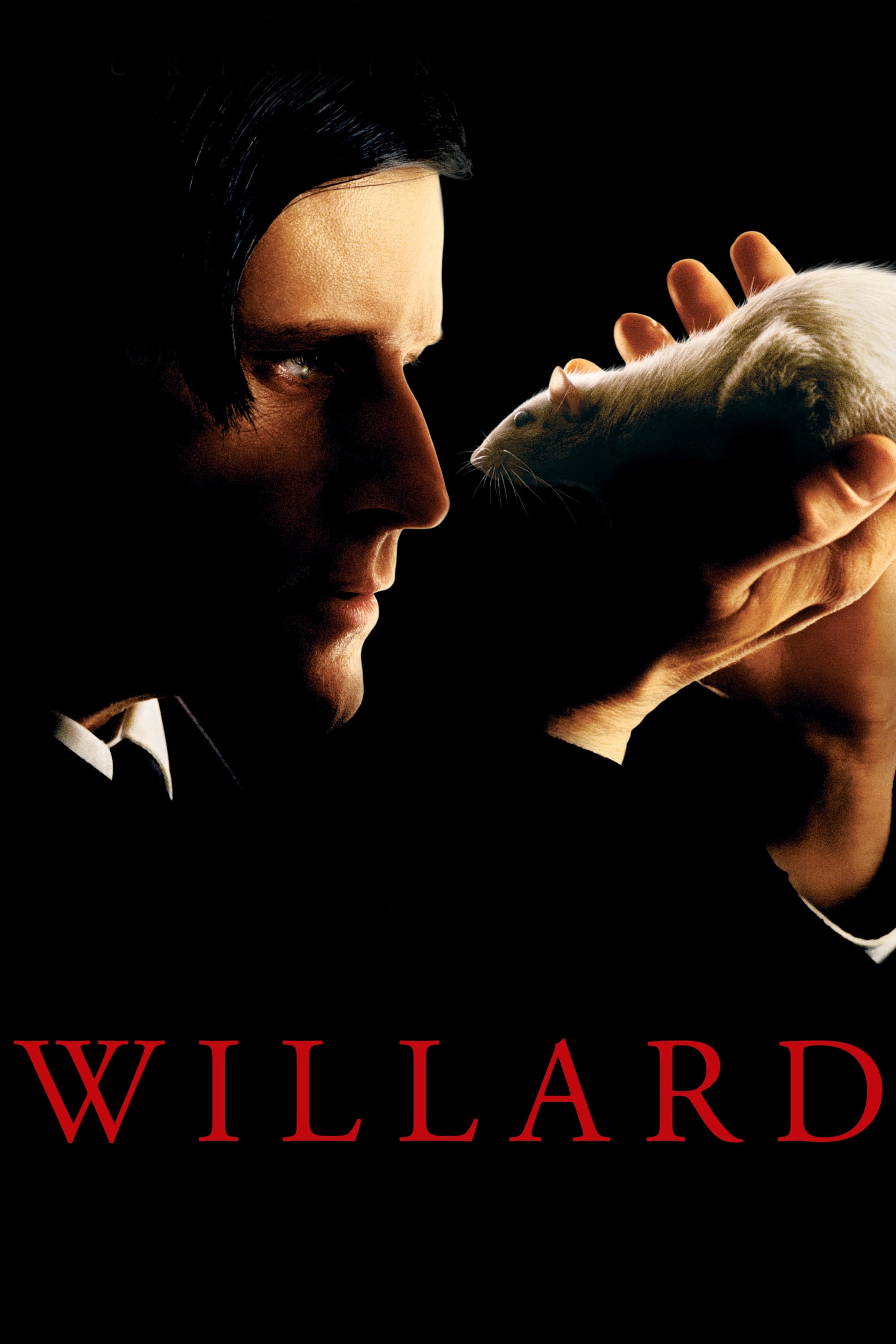 Willard | Willard