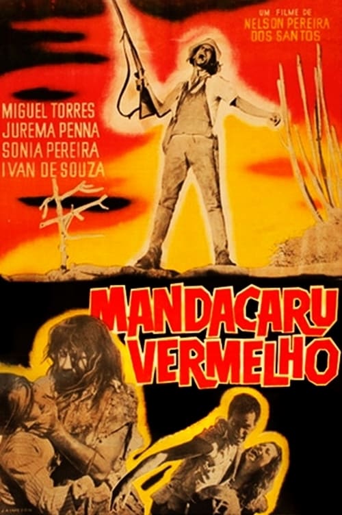 Mandacaru Vermelho | Mandacaru Vermelho