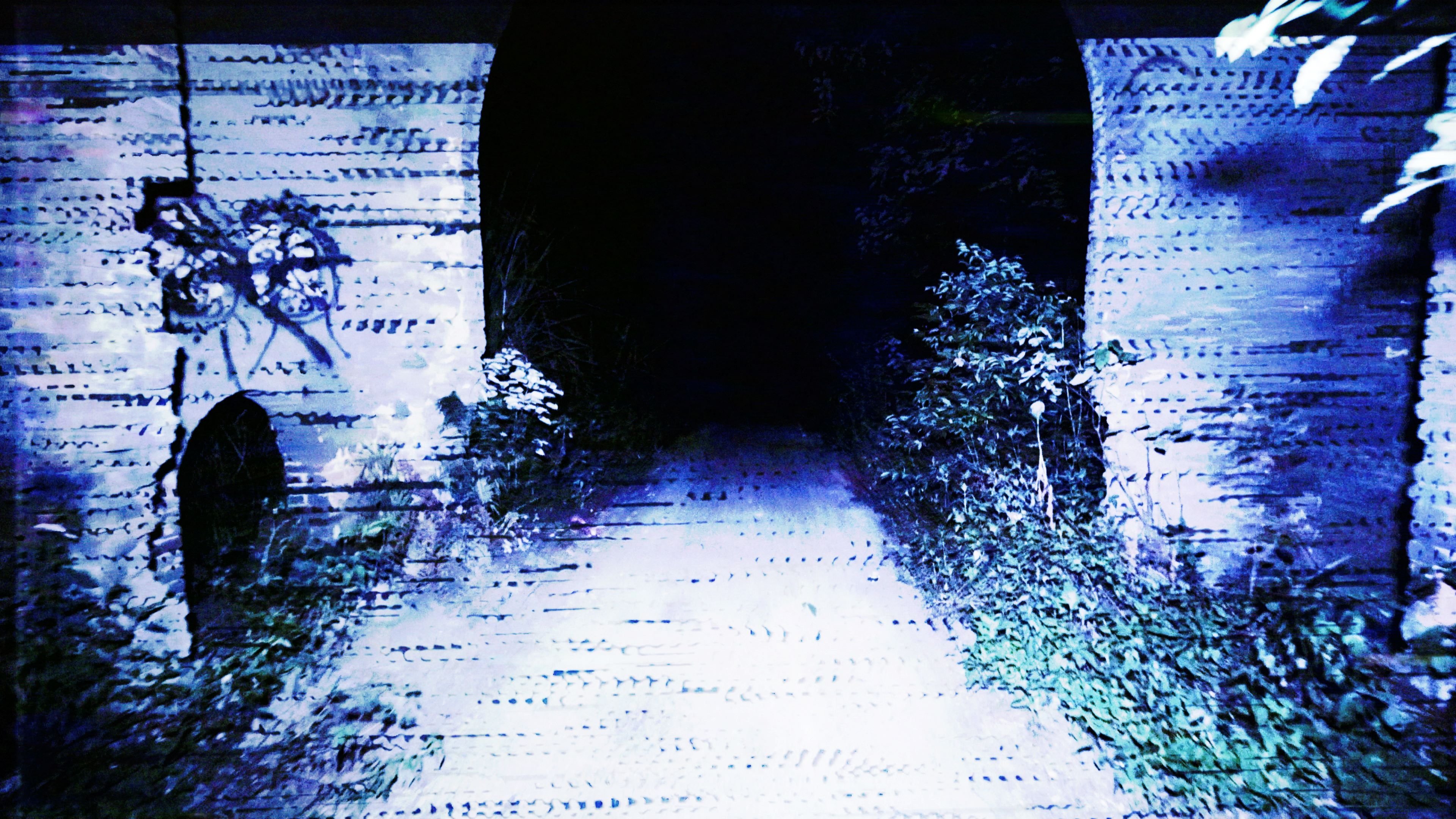 Transmission|Transmission