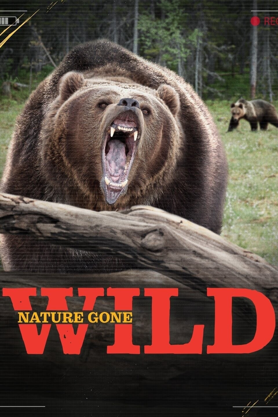 Nature Gone Wild | Nature Gone Wild