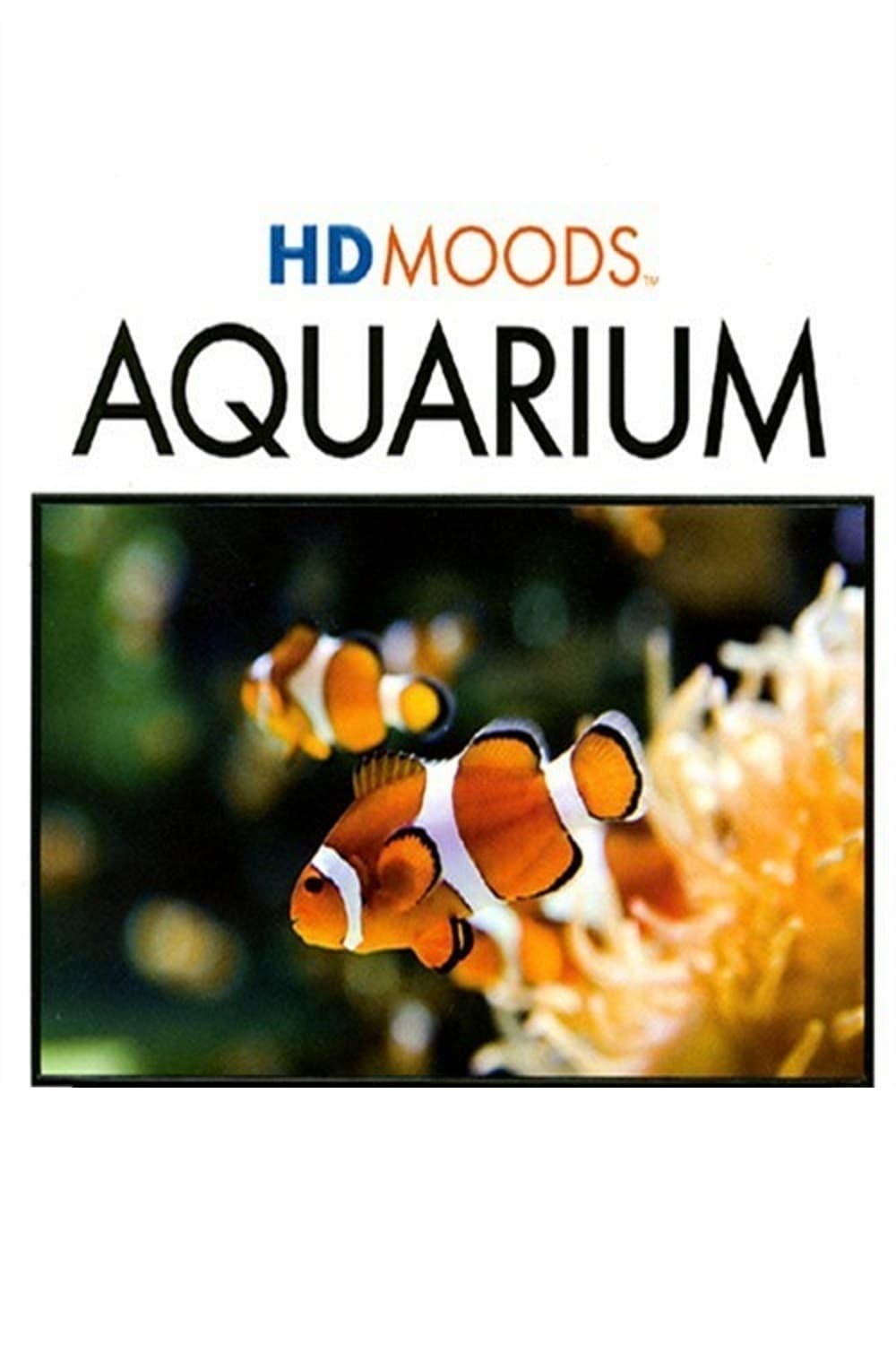 HD MOODS: AQUARIUM