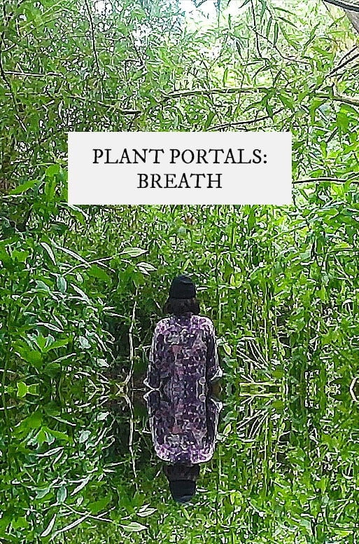 plant portals: breath | plant portals: breath