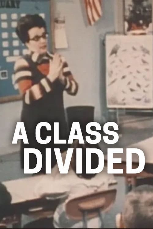 A Class Divided | A Class Divided