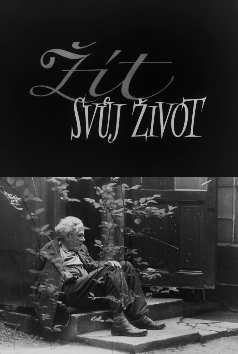 Žít svůj život