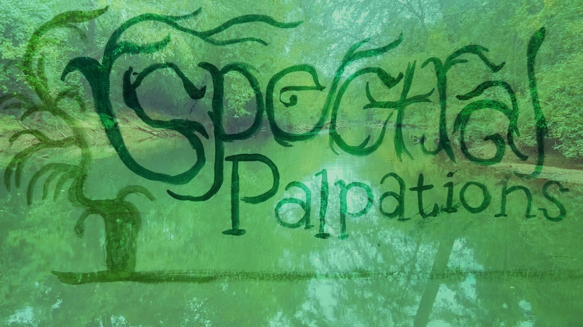 Spectral Palpations|Spectral Palpations