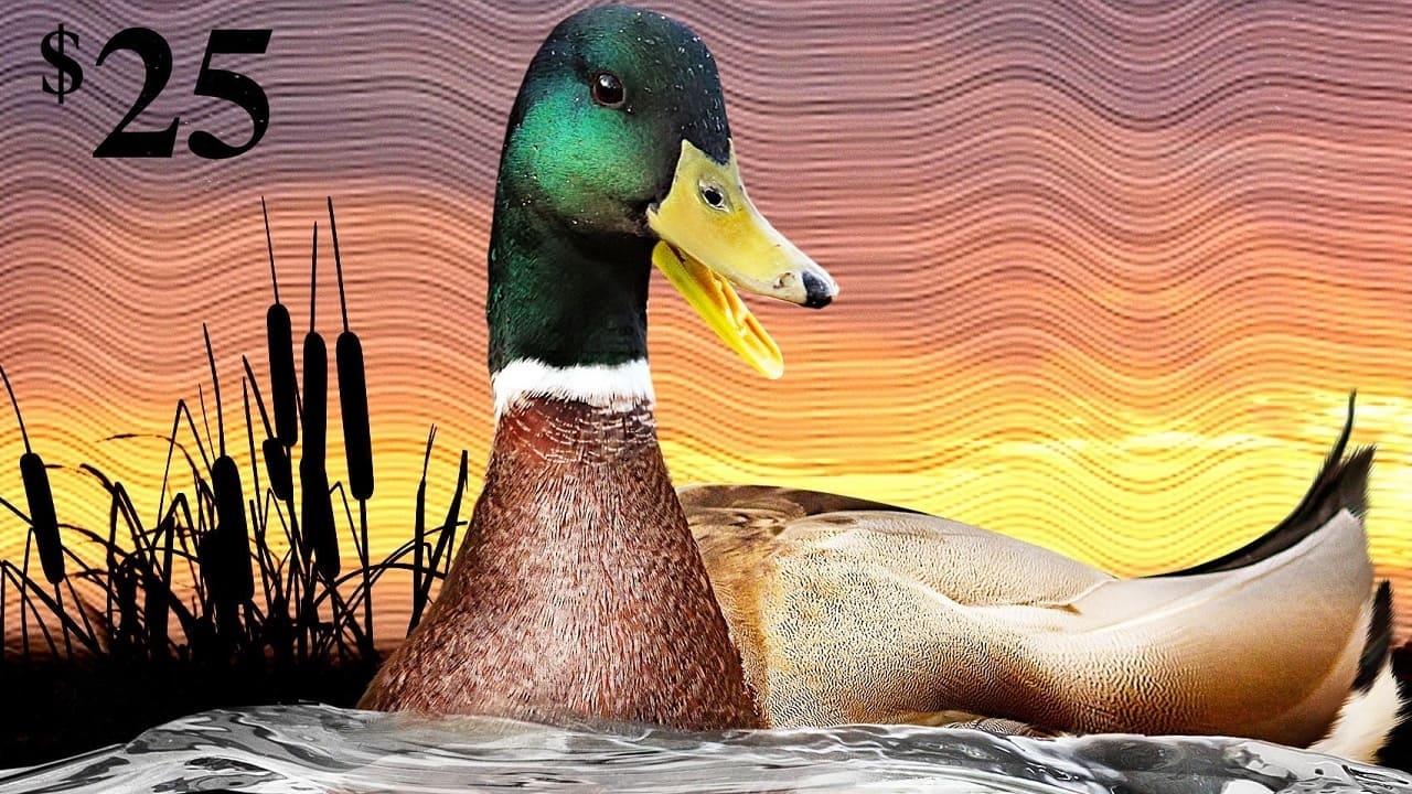 The Million Dollar Duck|The Million Dollar Duck