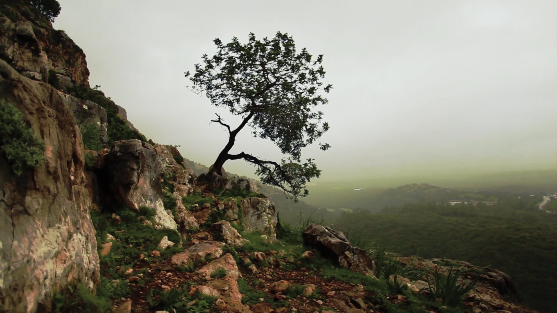 Is Mindfulness Right for You?|Is Mindfulness Right for You?