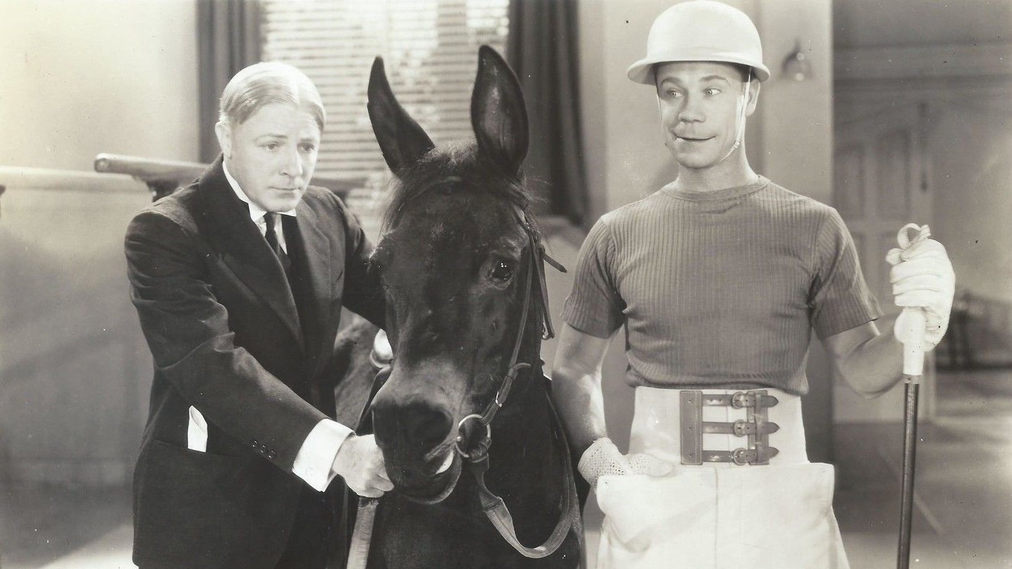 Polo Joe|Polo Joe