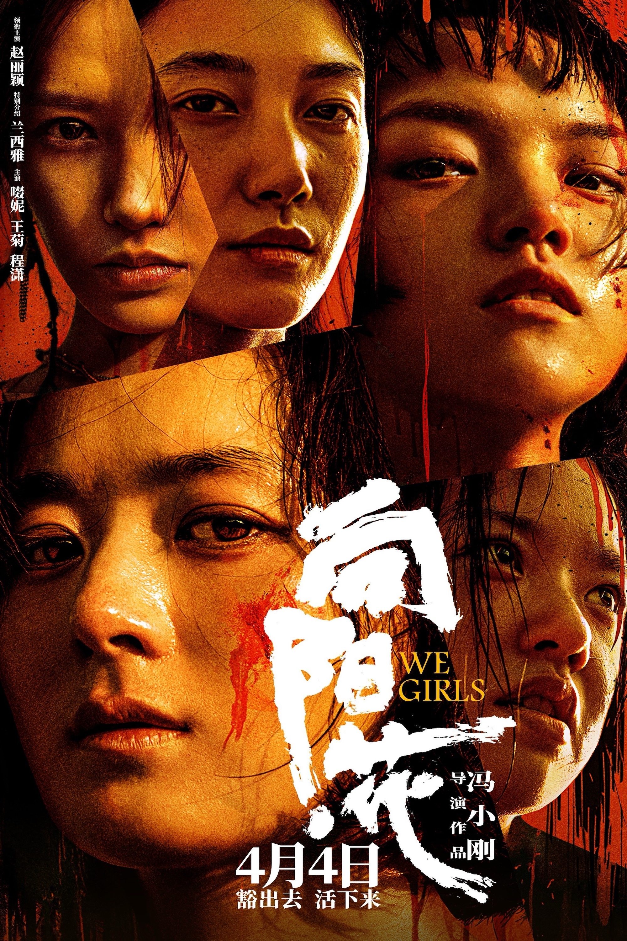 向阳·花 | 向阳·花