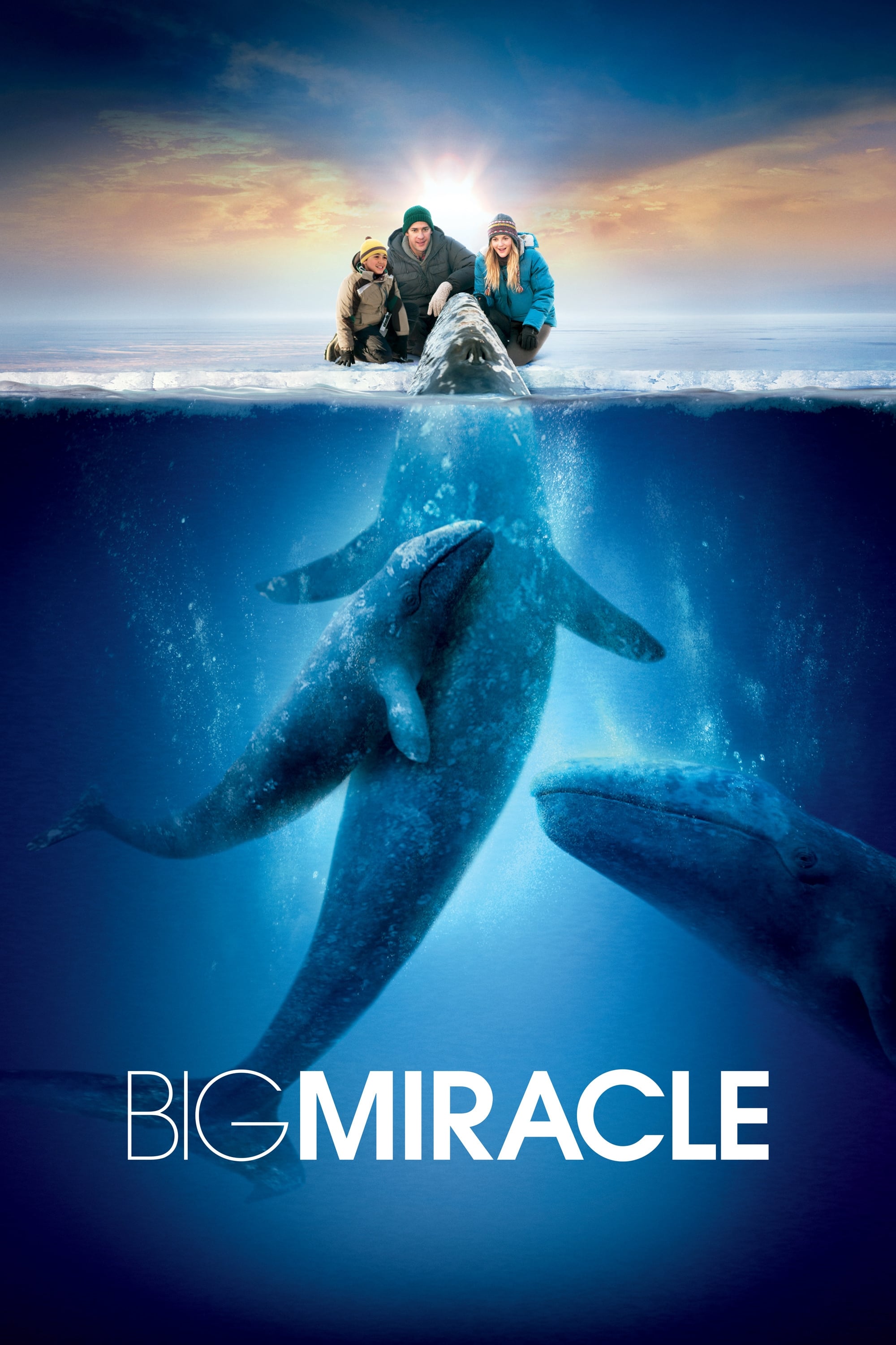 Big Miracle | Big Miracle