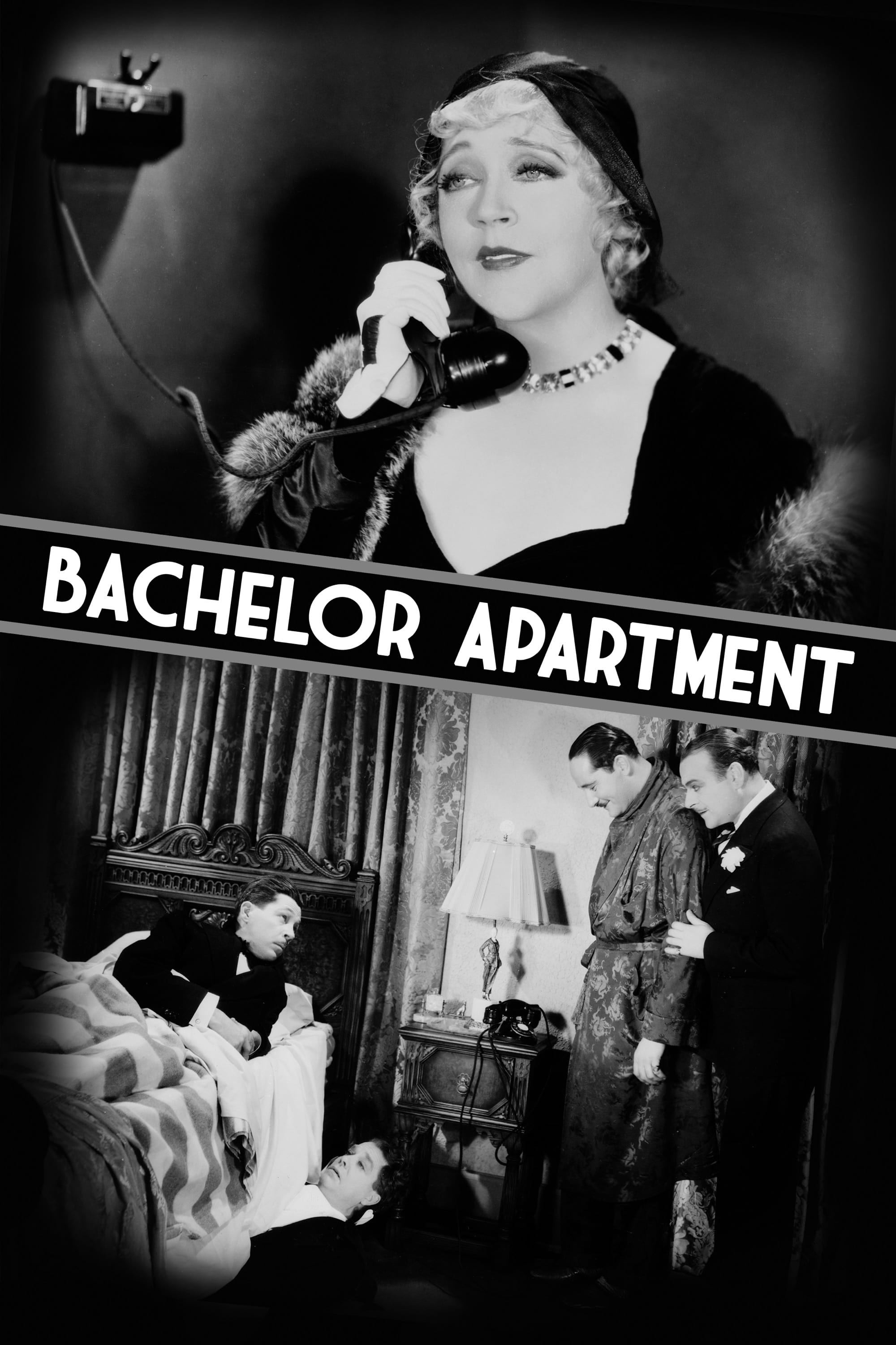 Bachelor Apartment | Bachelor Apartment