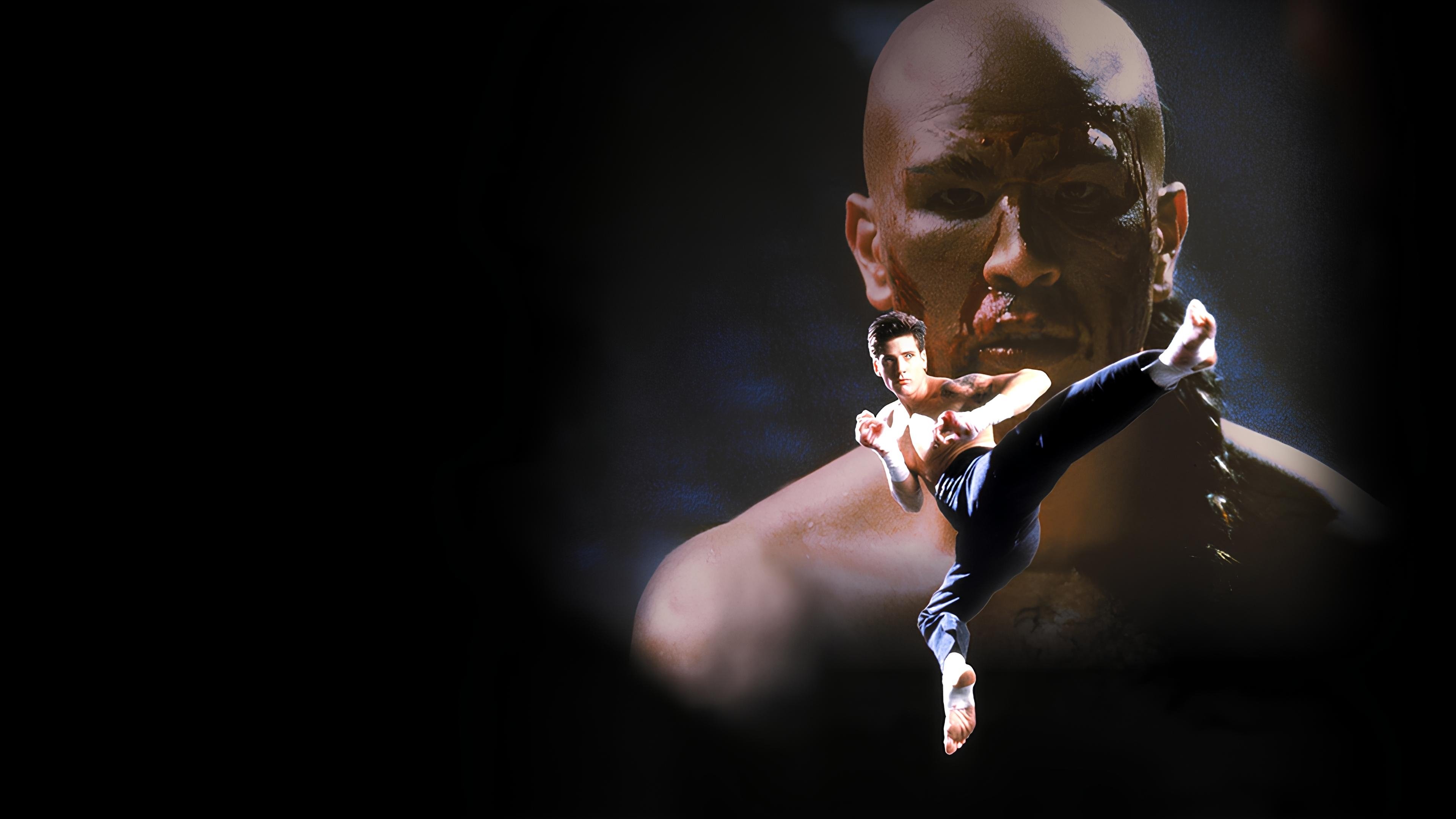 Kickboxer 4: The Aggressor|Kickboxer 4: The Aggressor