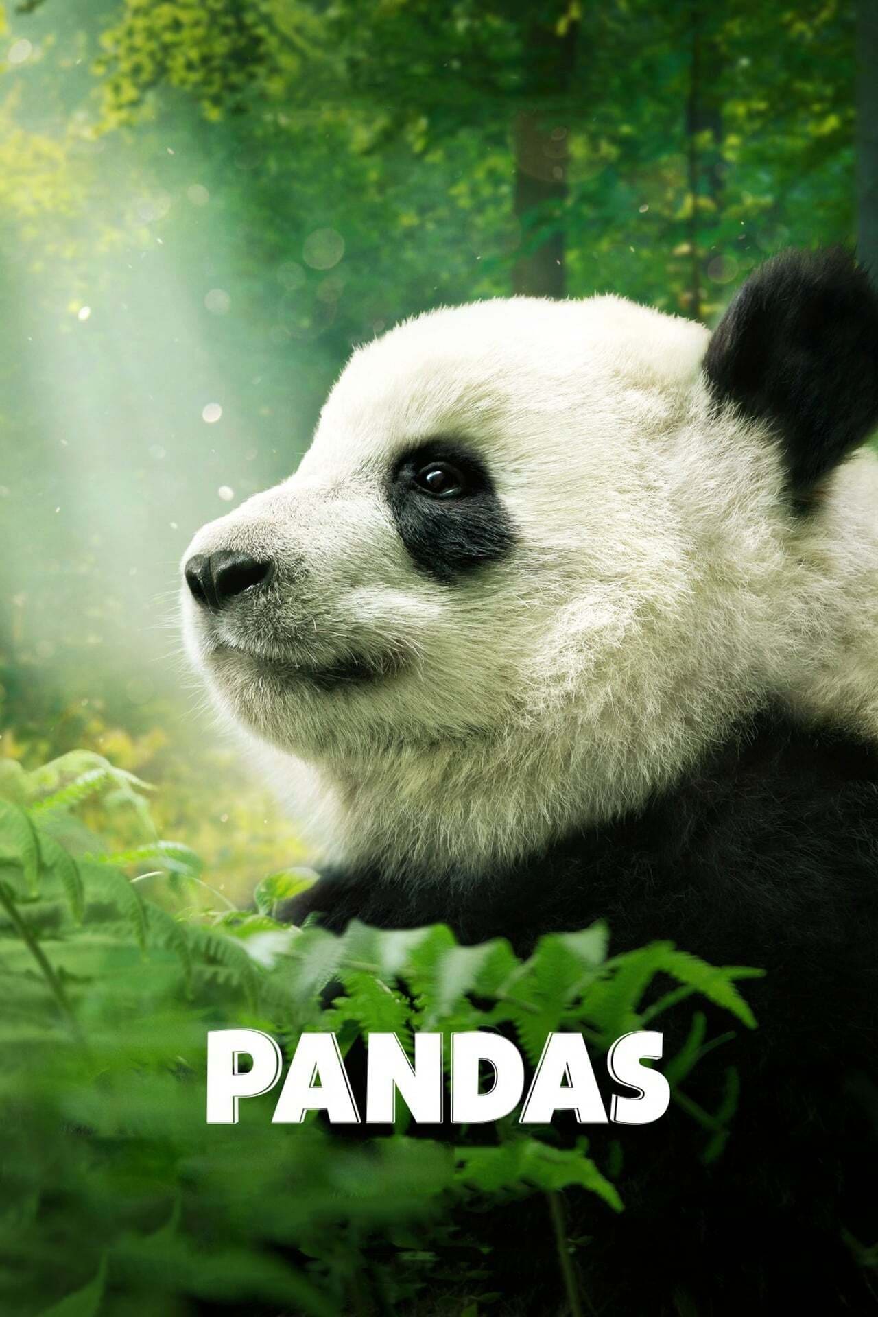 پانداها | Pandas