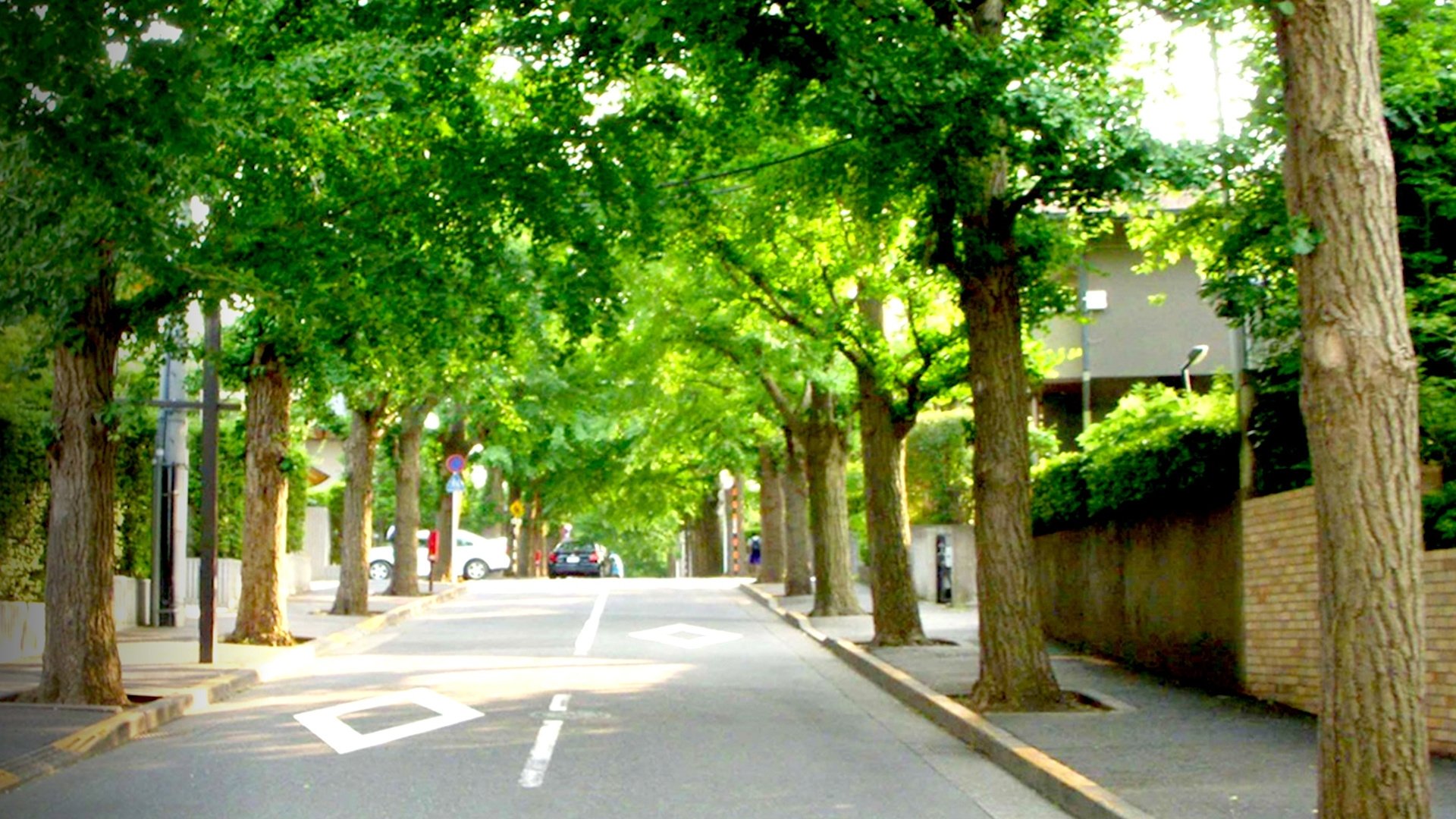 Zeroing In: Carbon Neutral 2050|Zeroing In: Carbon Neutral 2050